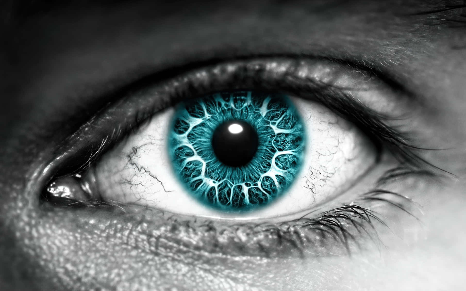 Eyes Wallpapers  Top Free Eyes Backgrounds  WallpaperAccess