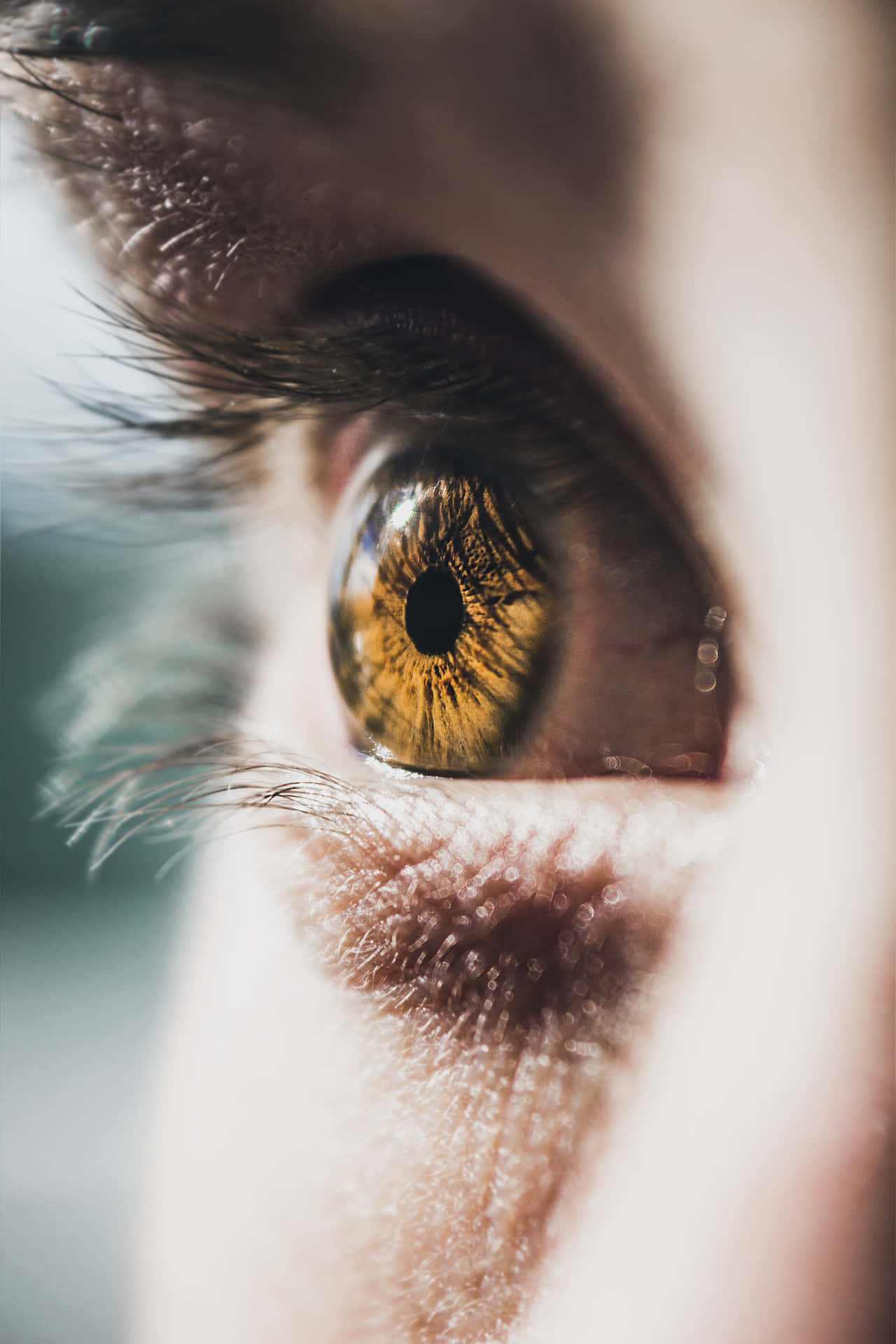 A Close Up Of A Person's Eye With A Yellow Iris