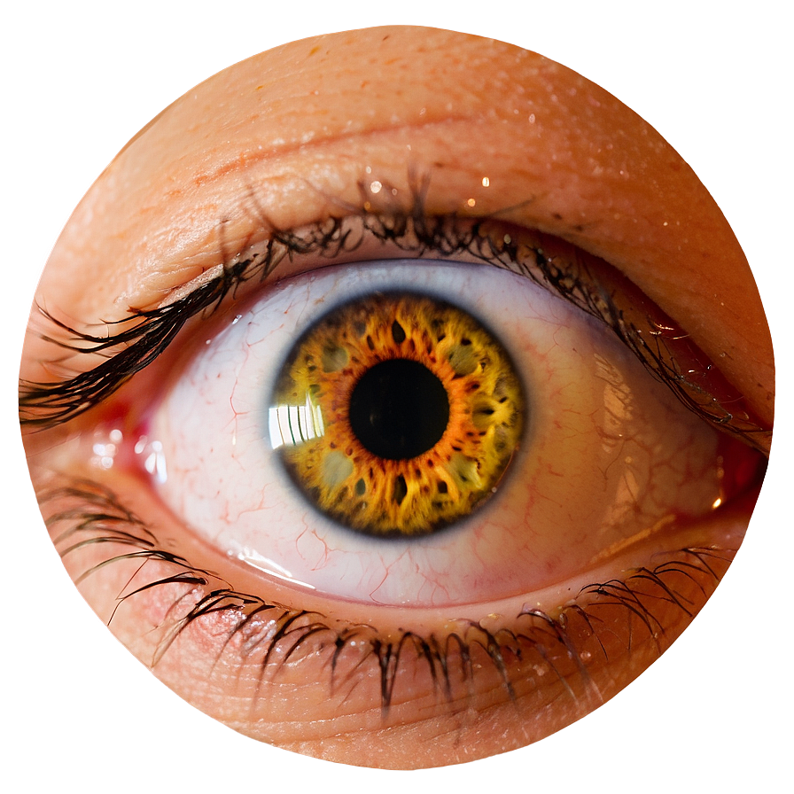 Eye Detail Transparent Png Rmn80 PNG