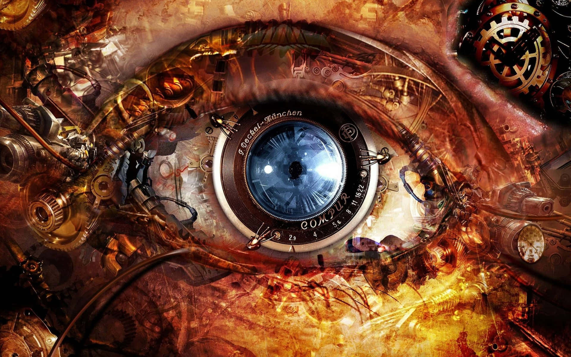 Eye Function Science Intrigued Wallpaper