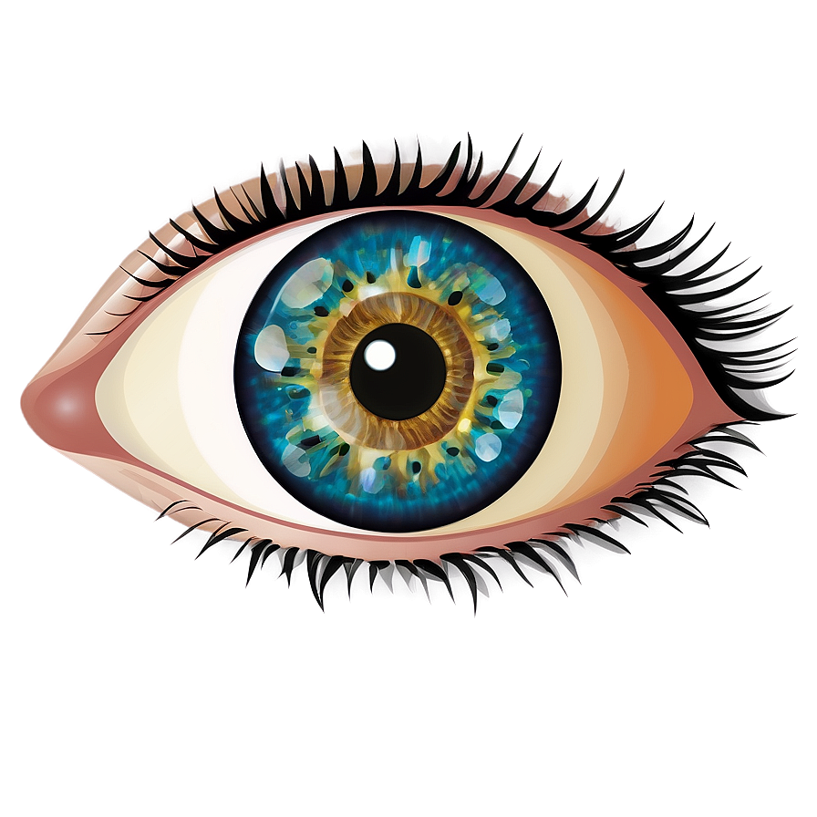 Eye Illustration Transparent Png 05262024 PNG