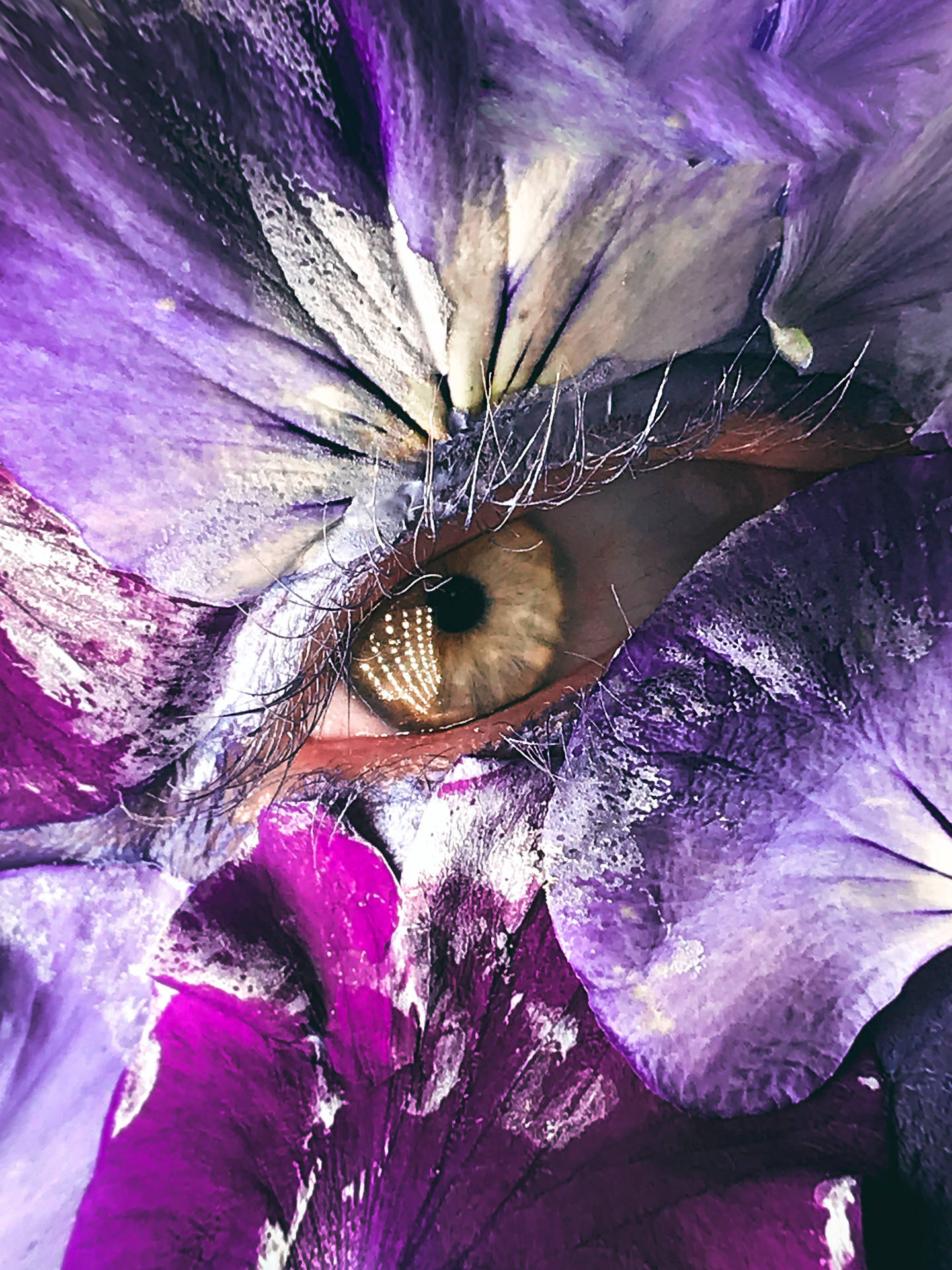 Eye, Petals, Makeup, Creative, Macro Wallpaper