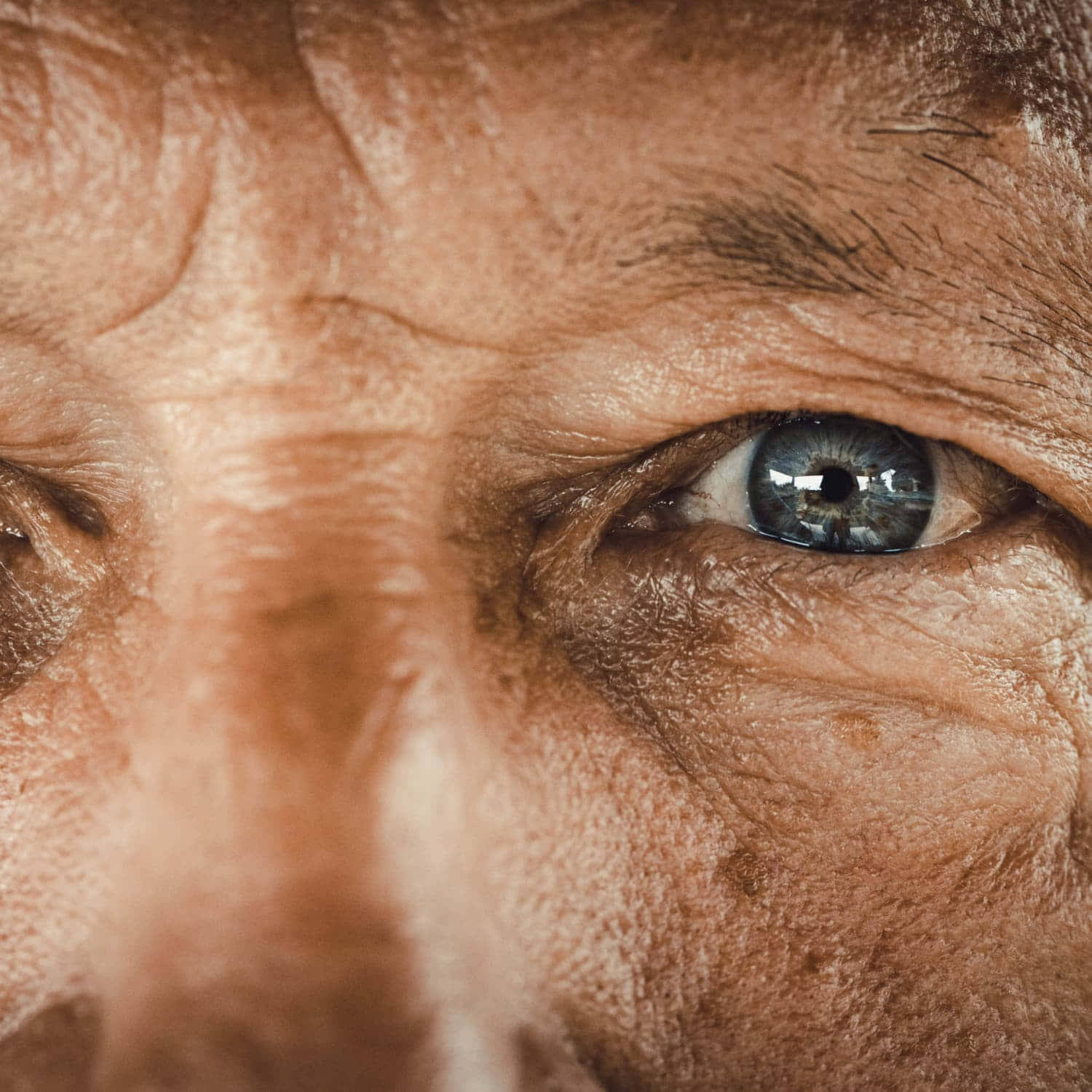 Close Up Of An Older Man's Eyes