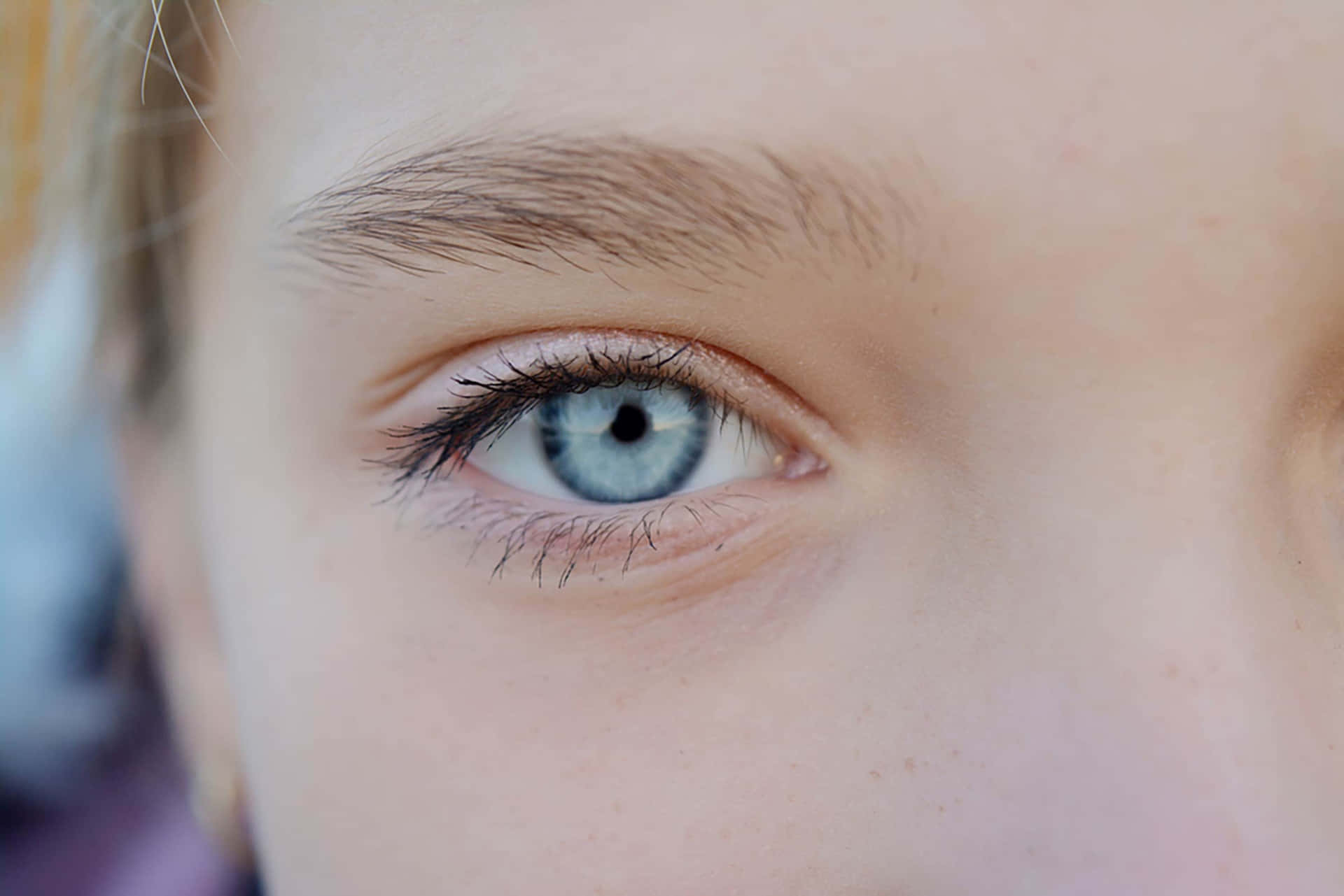 Ennärbild På En Ung Flickas Blåa Ögon
