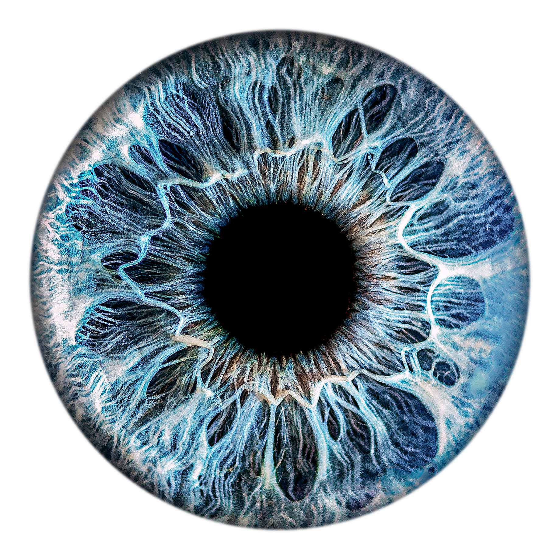 A Close Up Of A Blue Eye