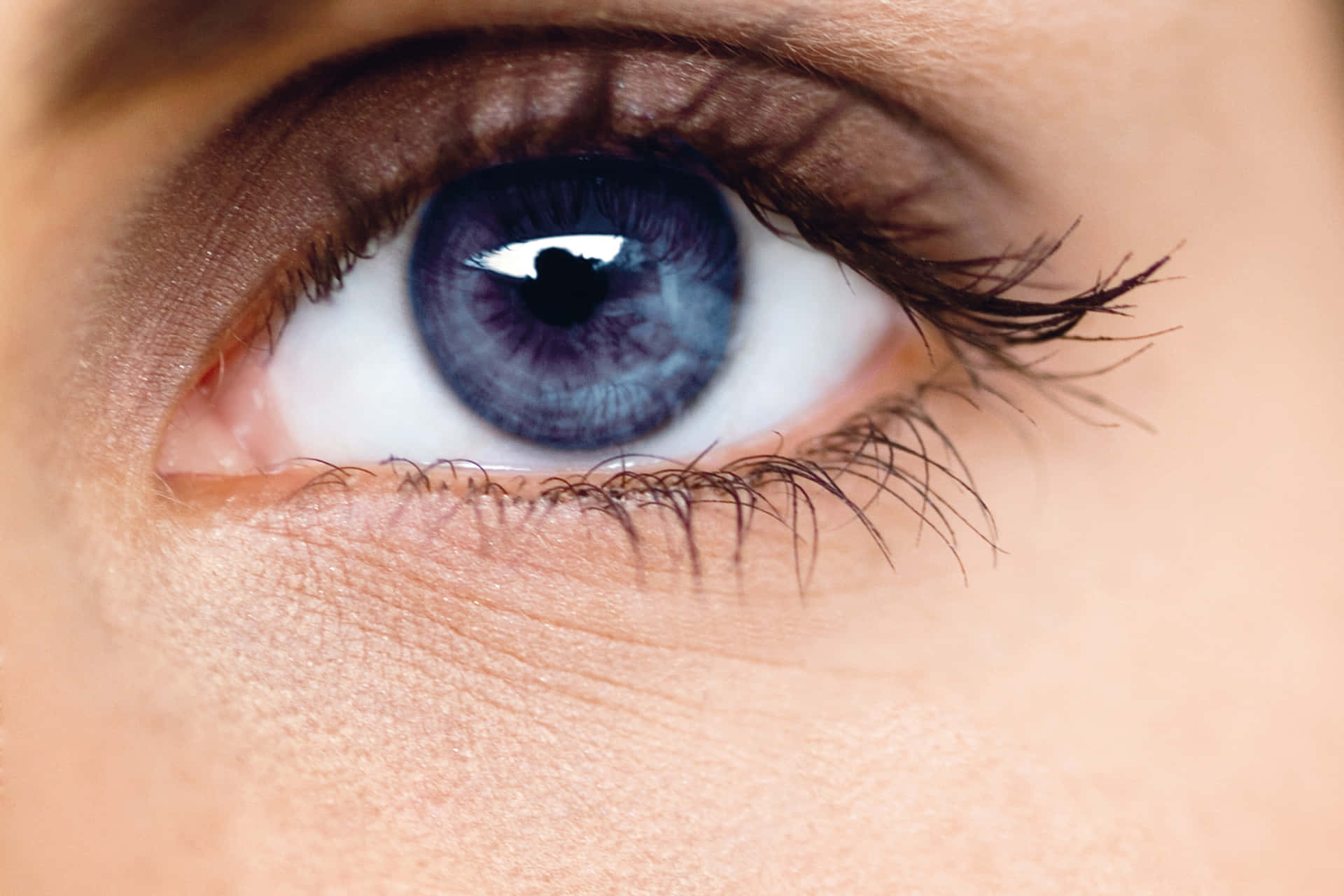 Närbildav En Kvinnas Öga Med Blå Ögon