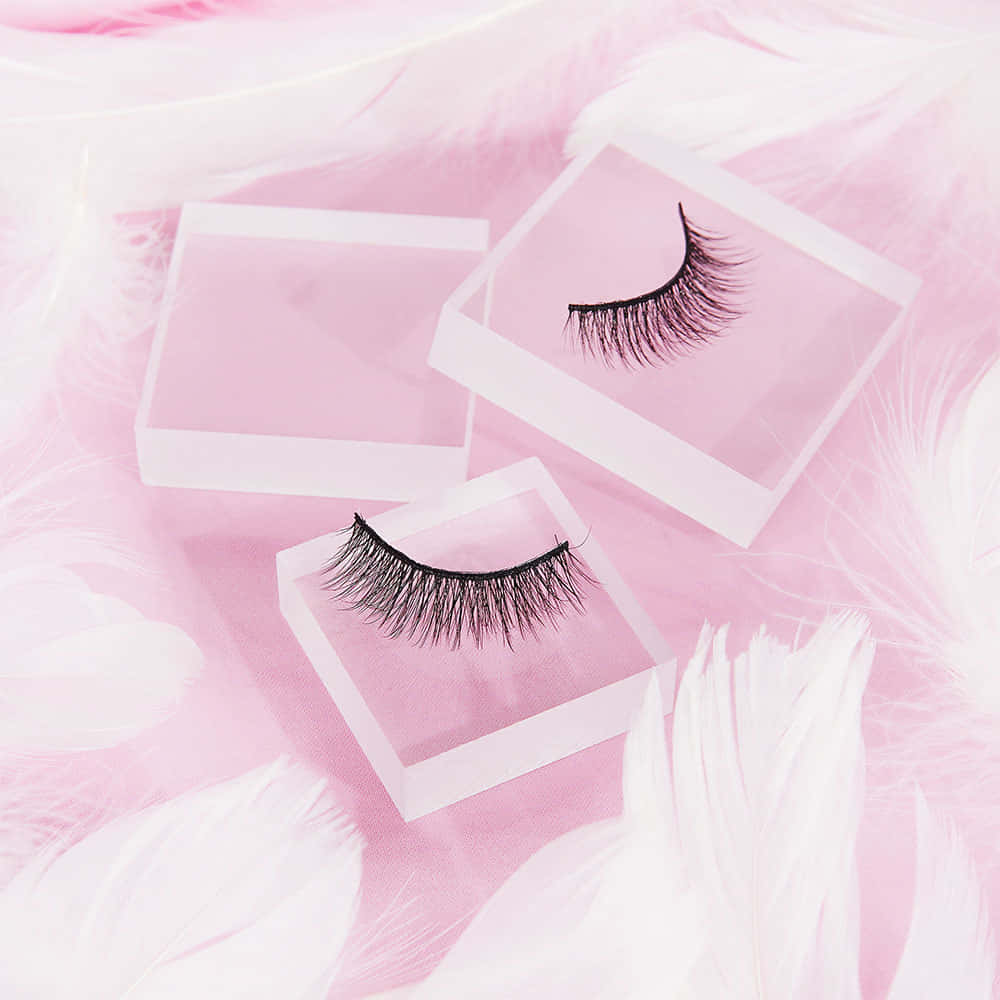Lashes In A Clear Box With Feathers On Top