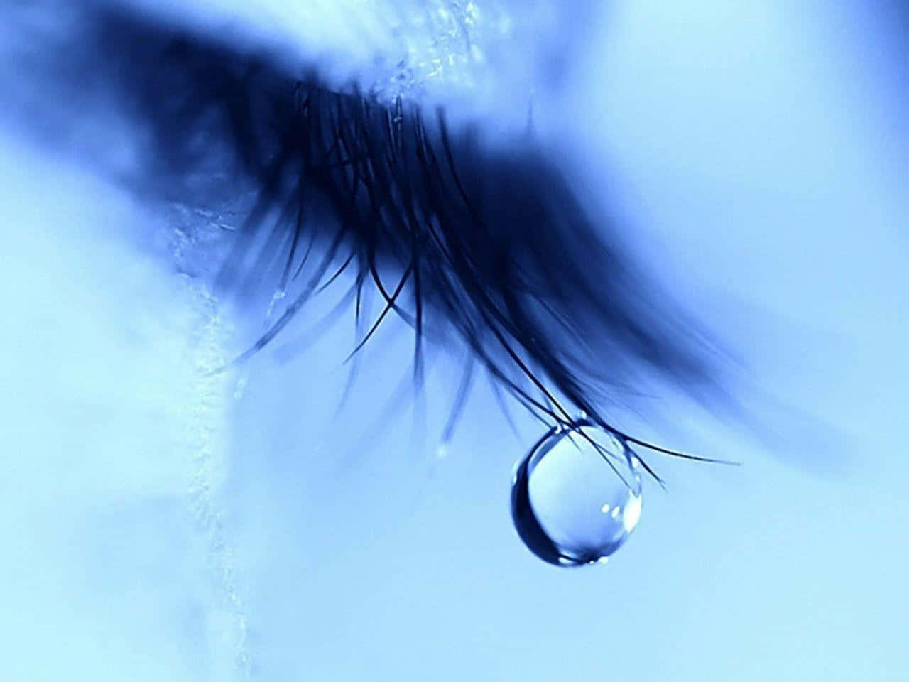 Eyelashes With Teardrop Crying Wallpaper