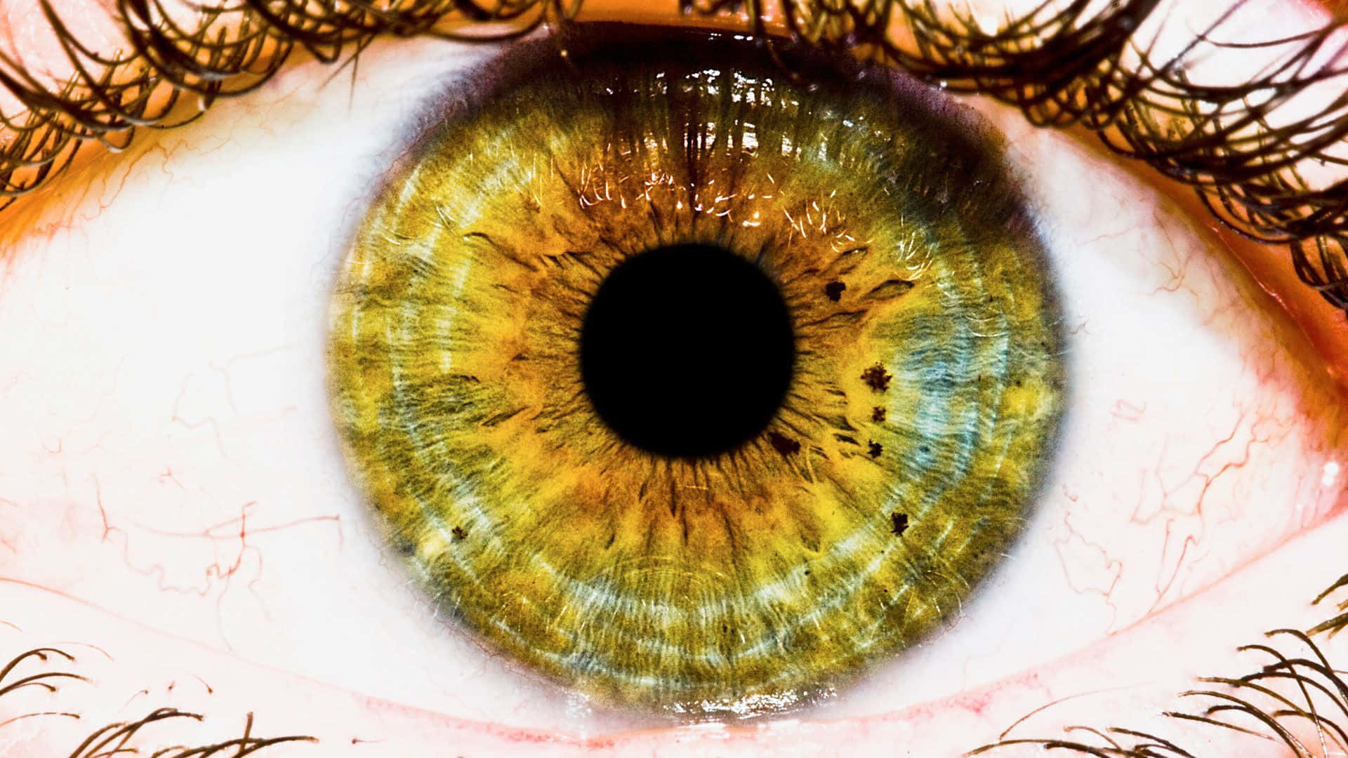 Intriguing Eye Close-up on Colorful Background
