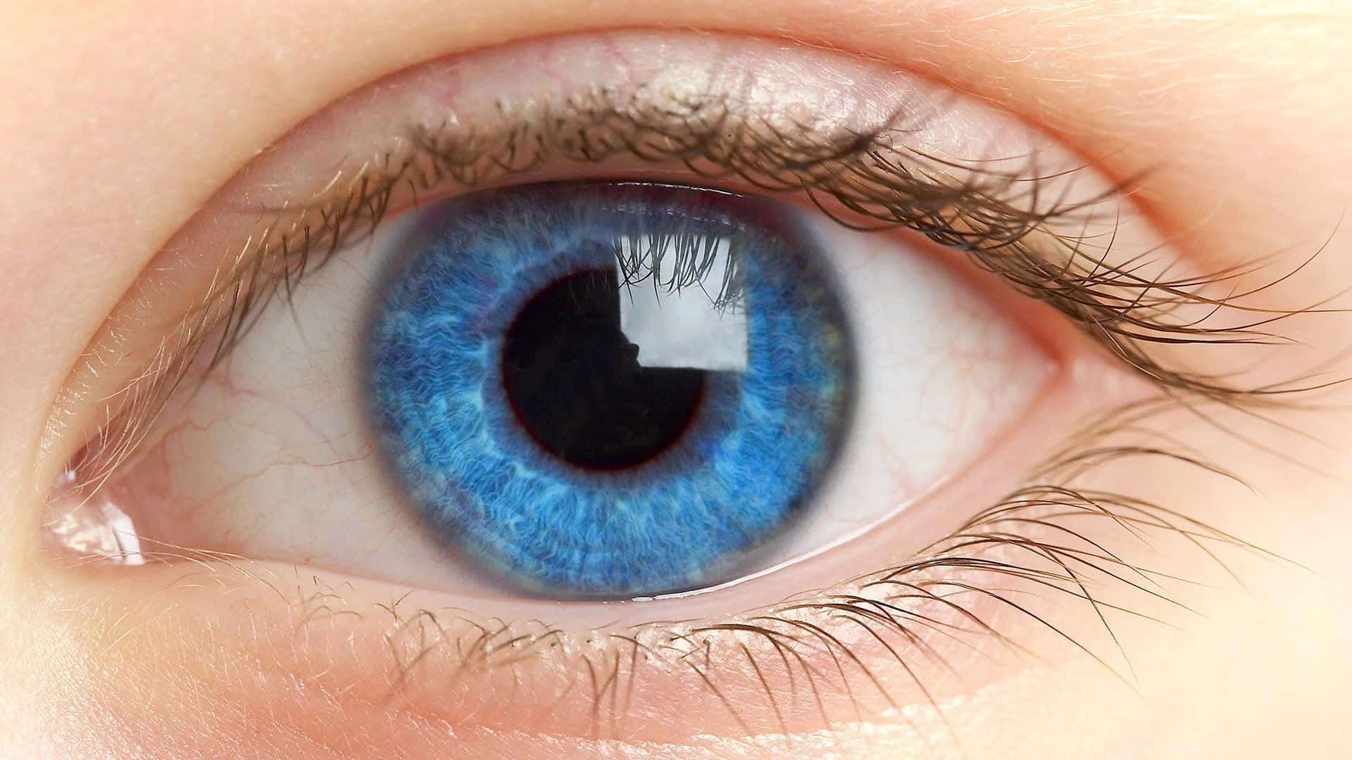 Captivating Stare: Intense Human Eyes Close-up