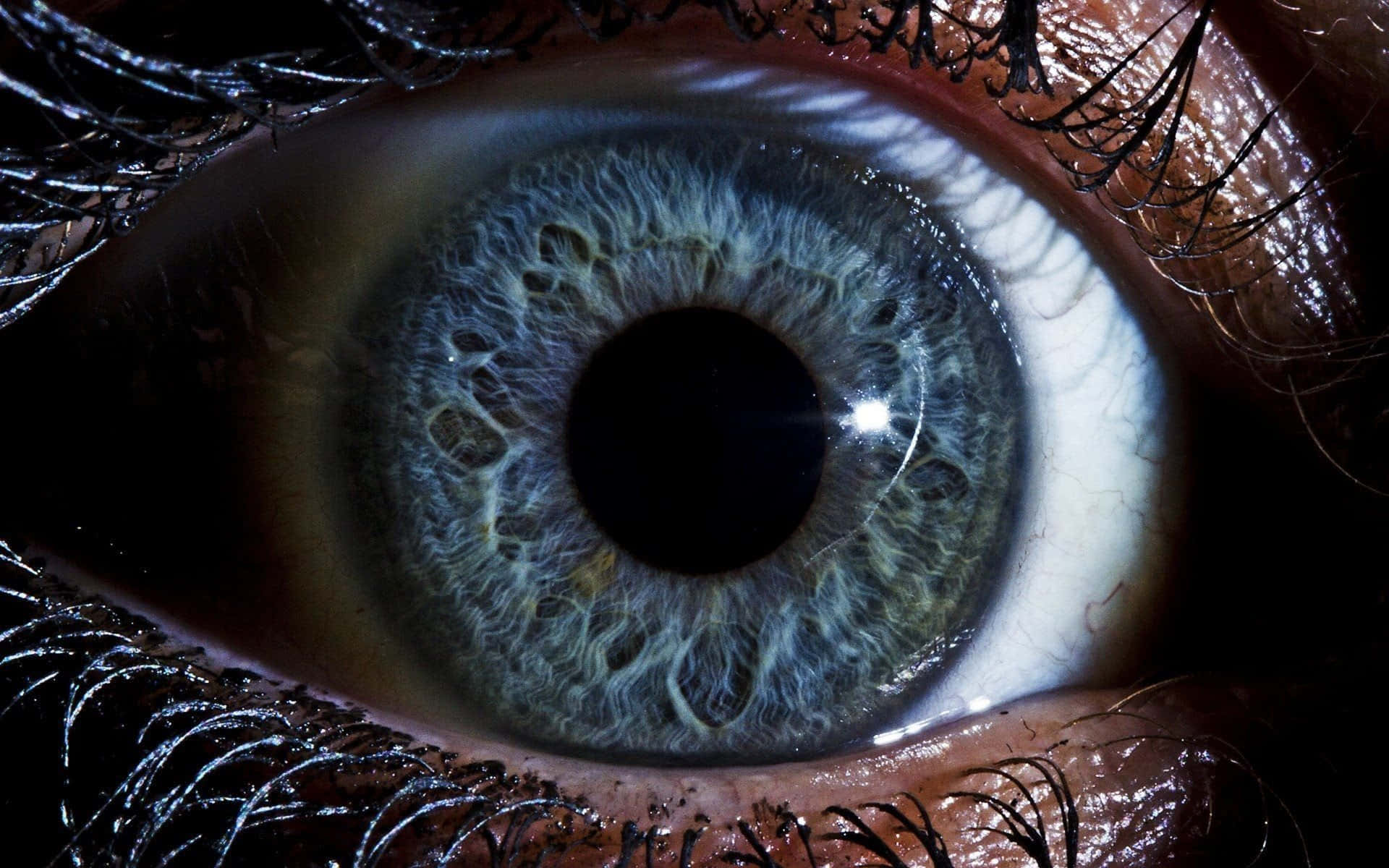Enchanting Gaze - Hypnotizing Close-Up of Captivating Eyes