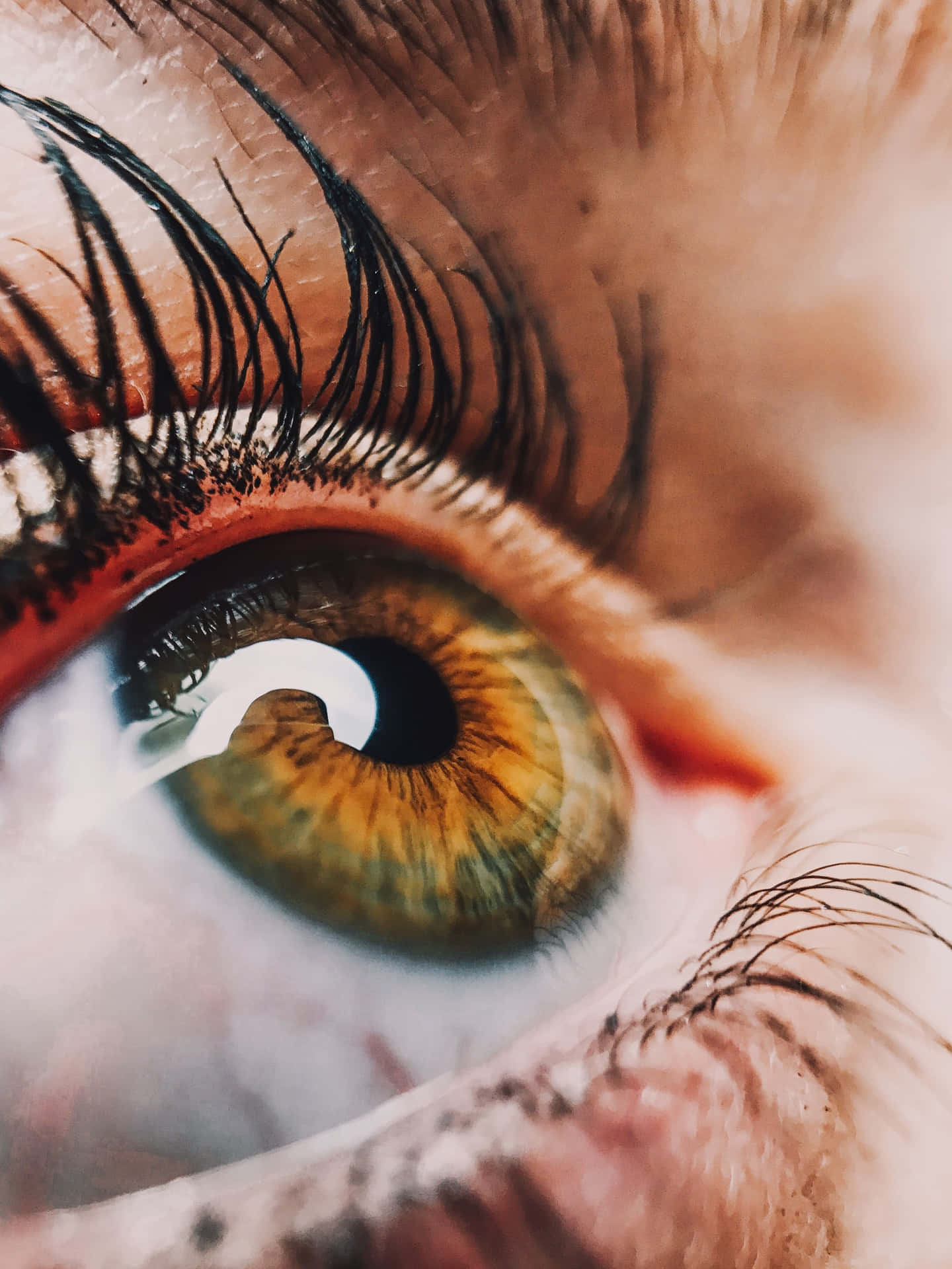 Captivating Sharp Gaze: Close-Up of a Stuning Human Eye