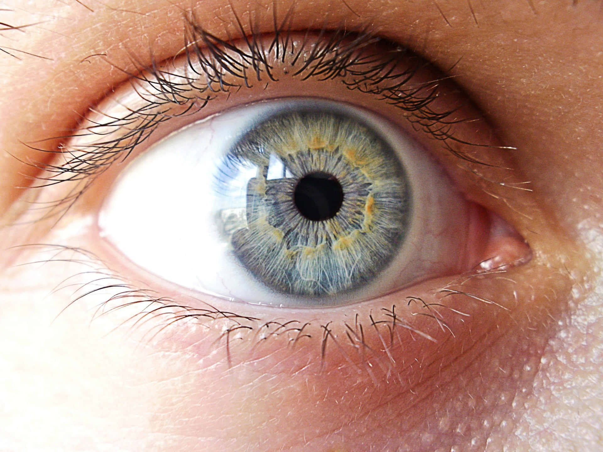 Captivating Gaze: A Close-Up of Human Eyes