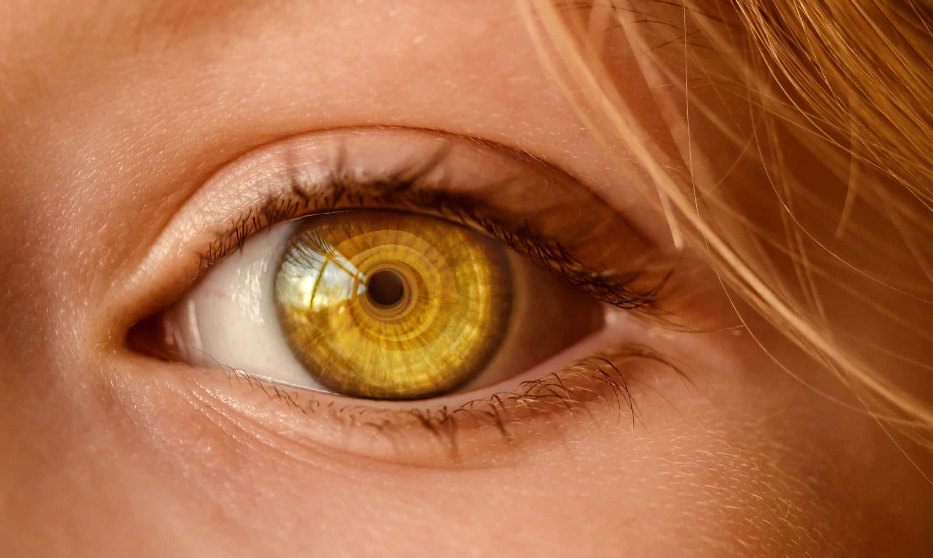 Golden Yellow Eyes Of Blonde Girl Picture