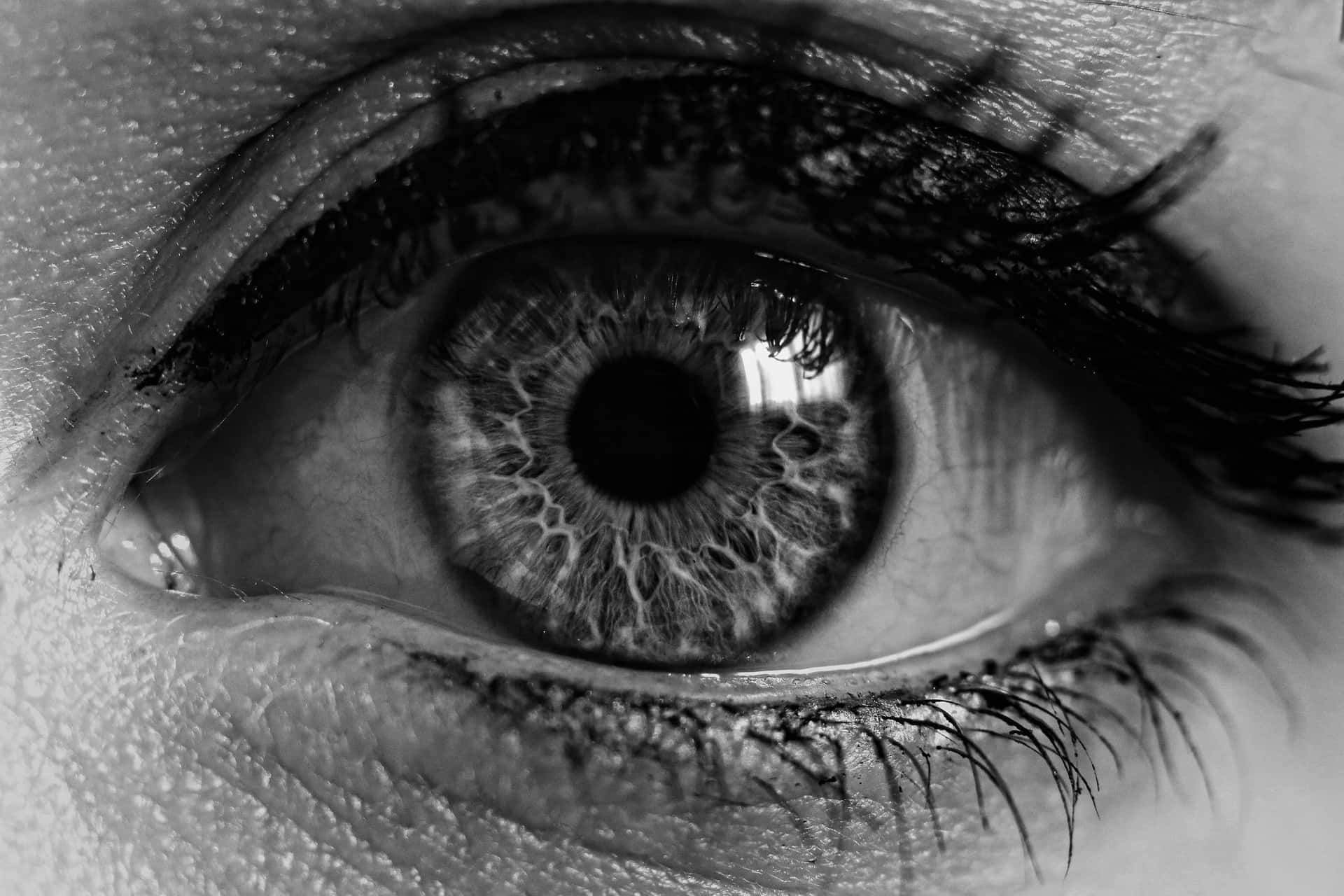 Black And White Human Eyes Picture