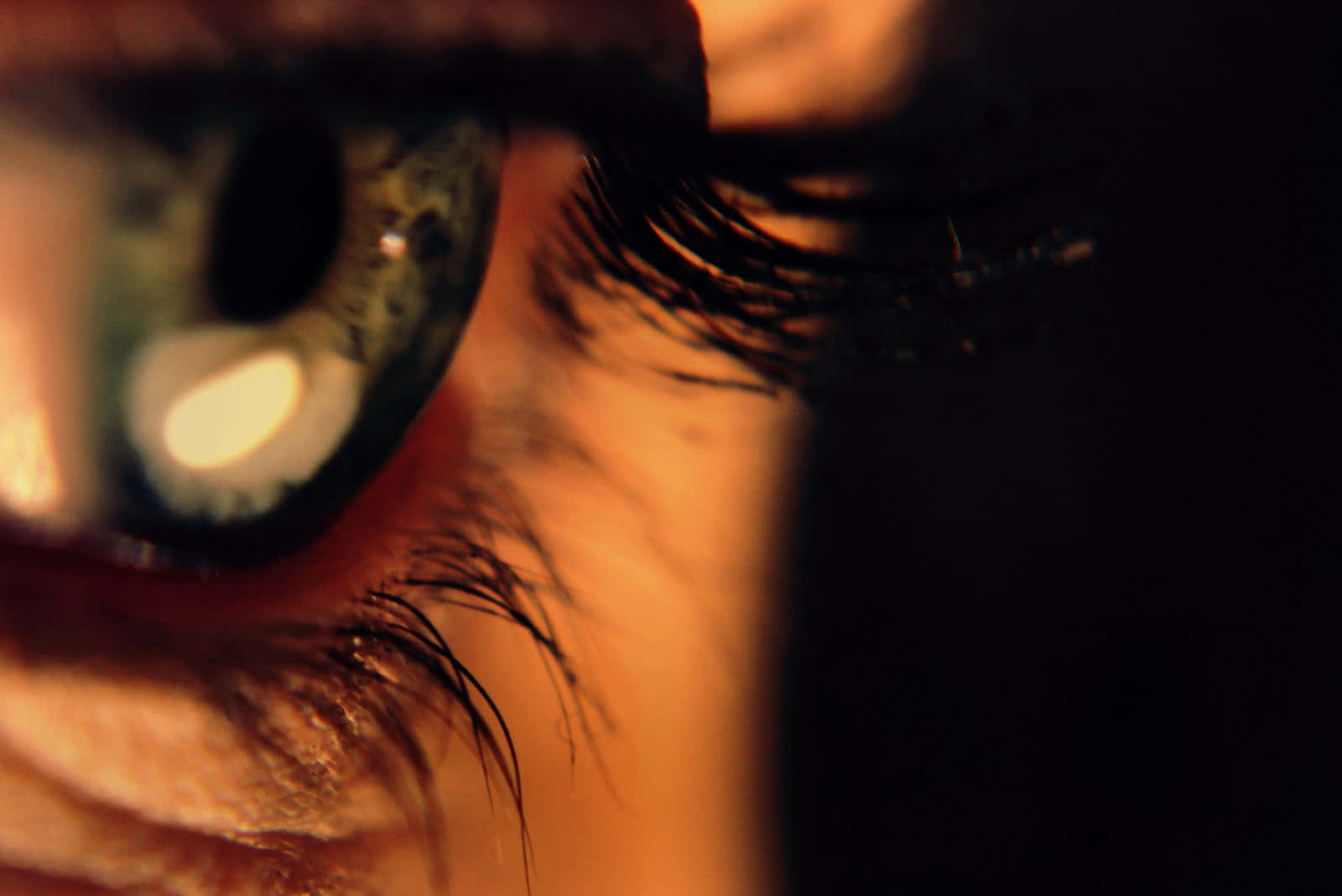 Nahaufnahmevon Augen Iris Und Wimpern Bild