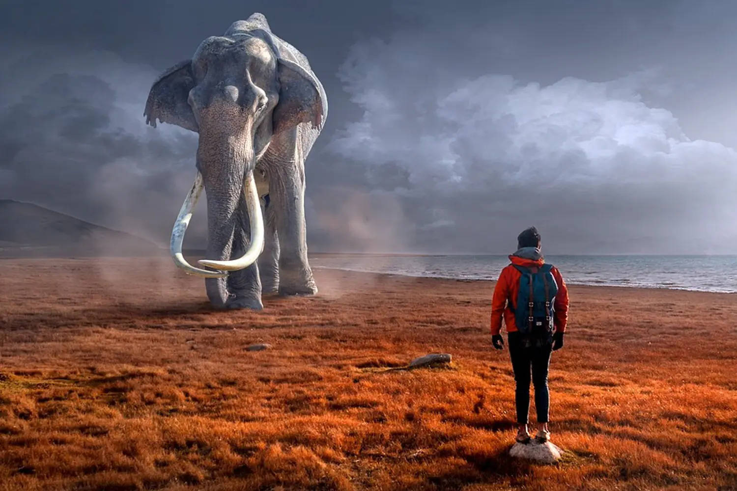 Face To Face With A Mammoth Wallpaper