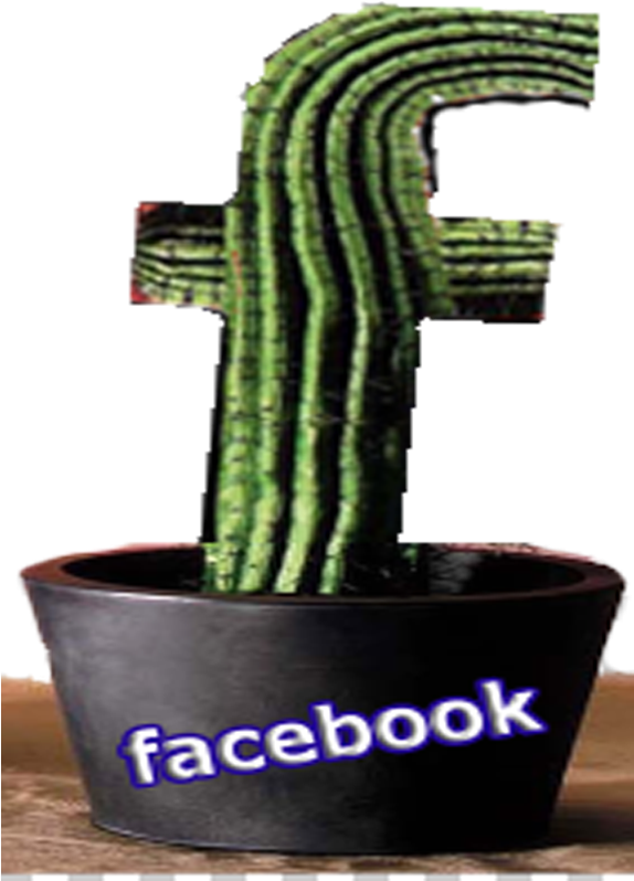 Facebook Cactus Pot Concept PNG