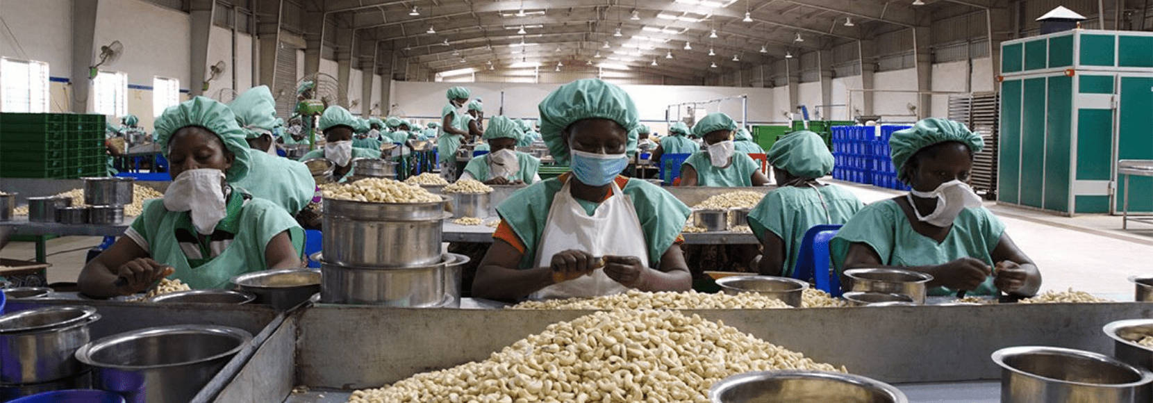 Factory Workers In Benin Picture