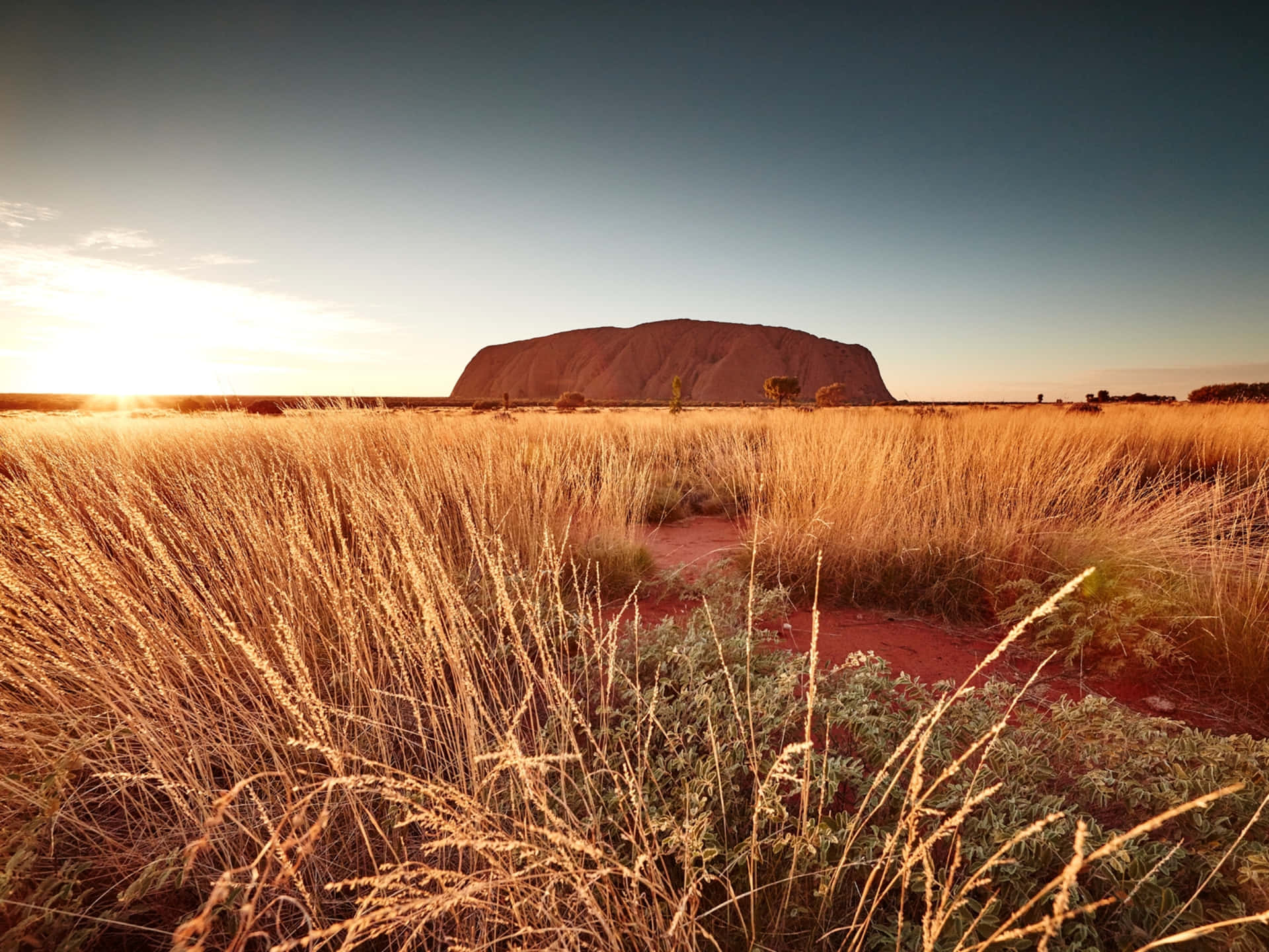 Blekgråhimmel Uluru Wallpaper
