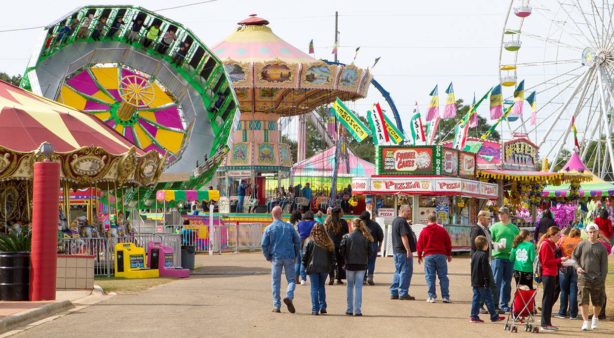 Fair With Different Rides Picture