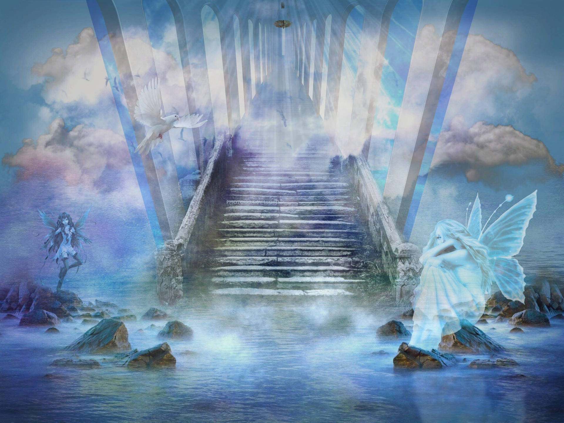 Fairies Stairway to Heaven Wallpaper