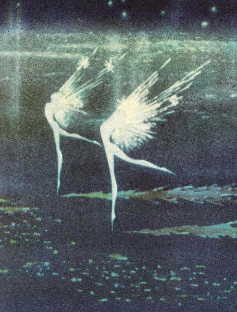 A Painting Of Two Fairy Wings Flying In The Air