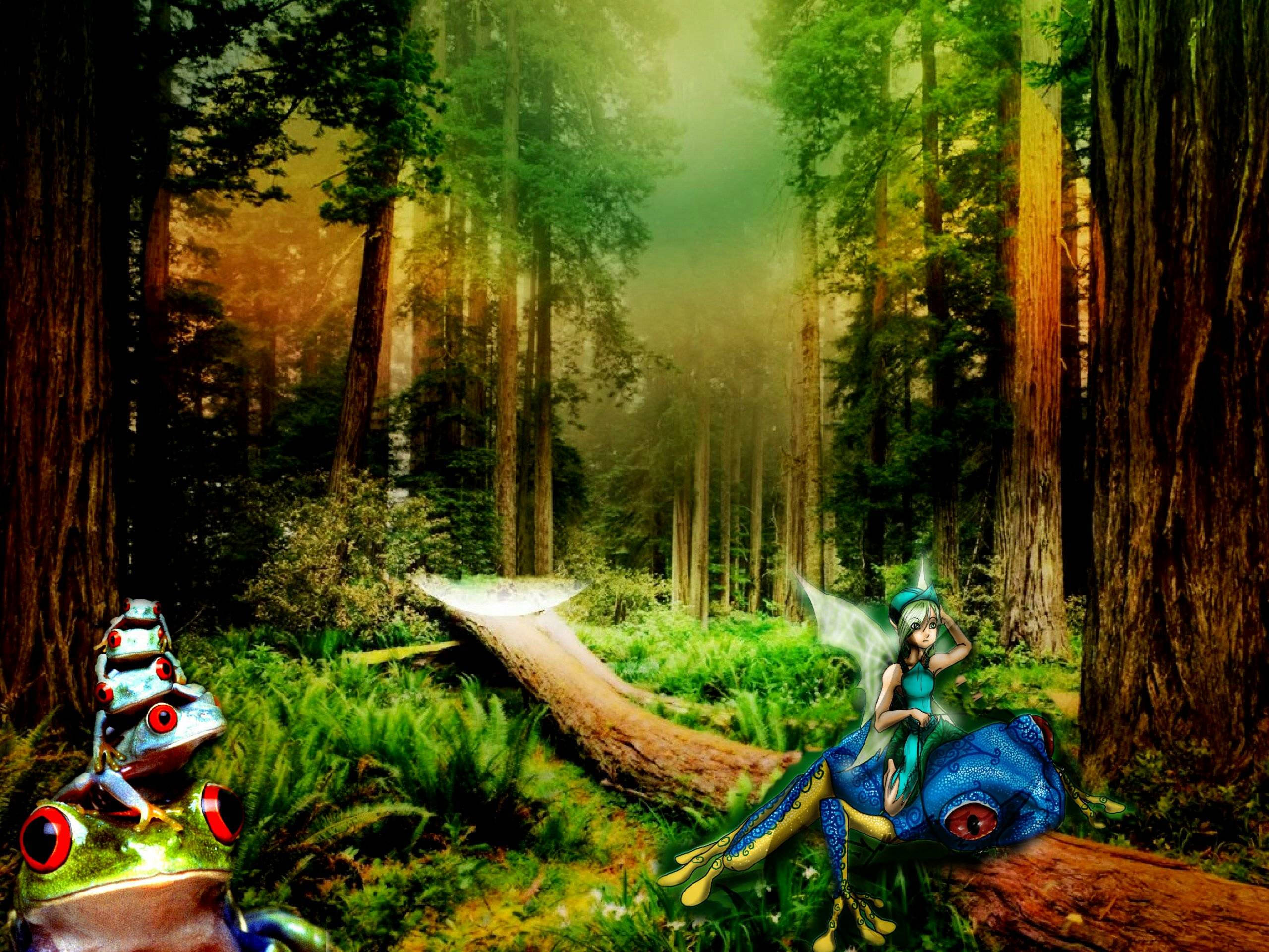 Fairy And Frogs In Enchanted Forest Wallpaper
