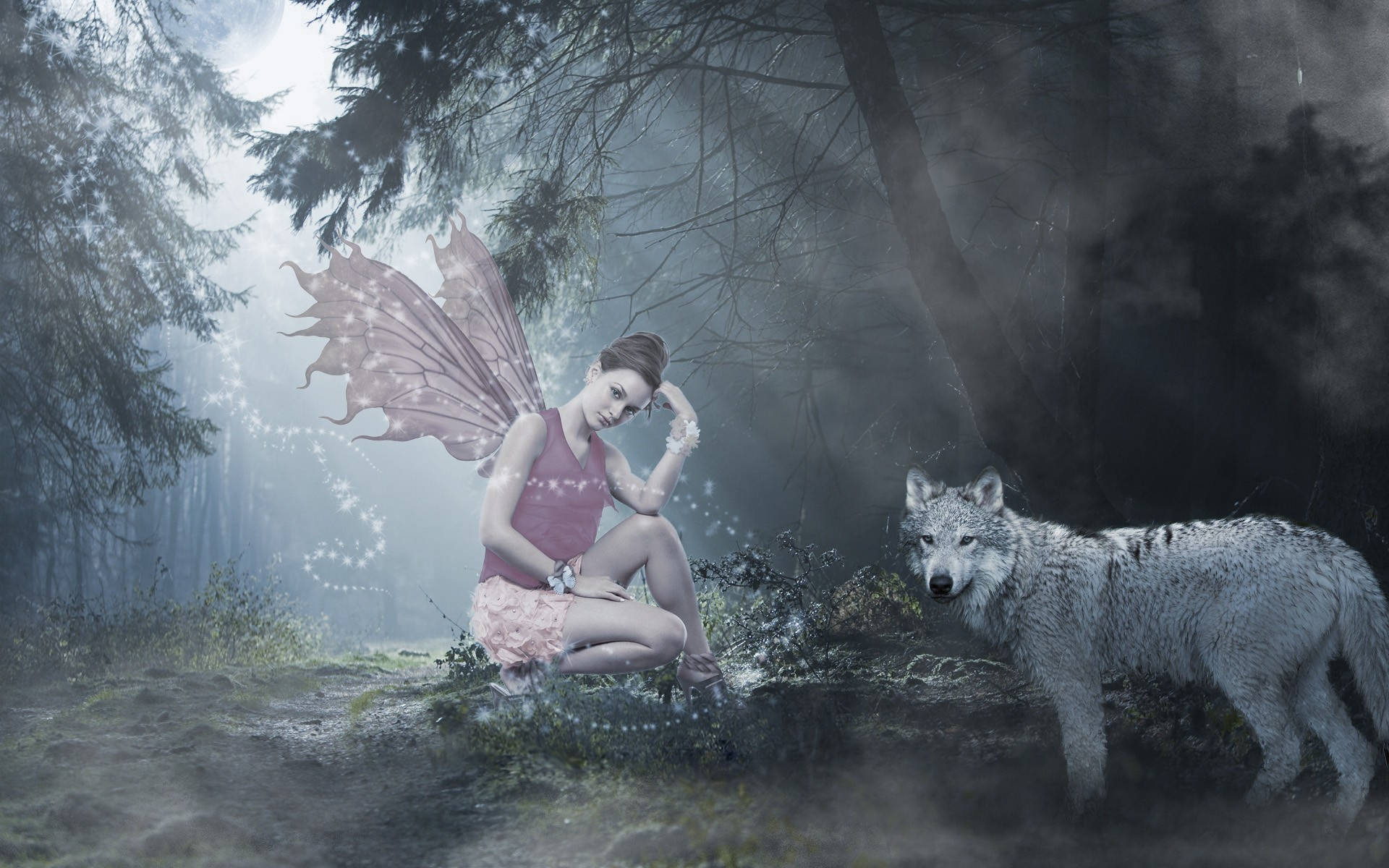 Fairy And Wolf In An Enchanted Forest Picture