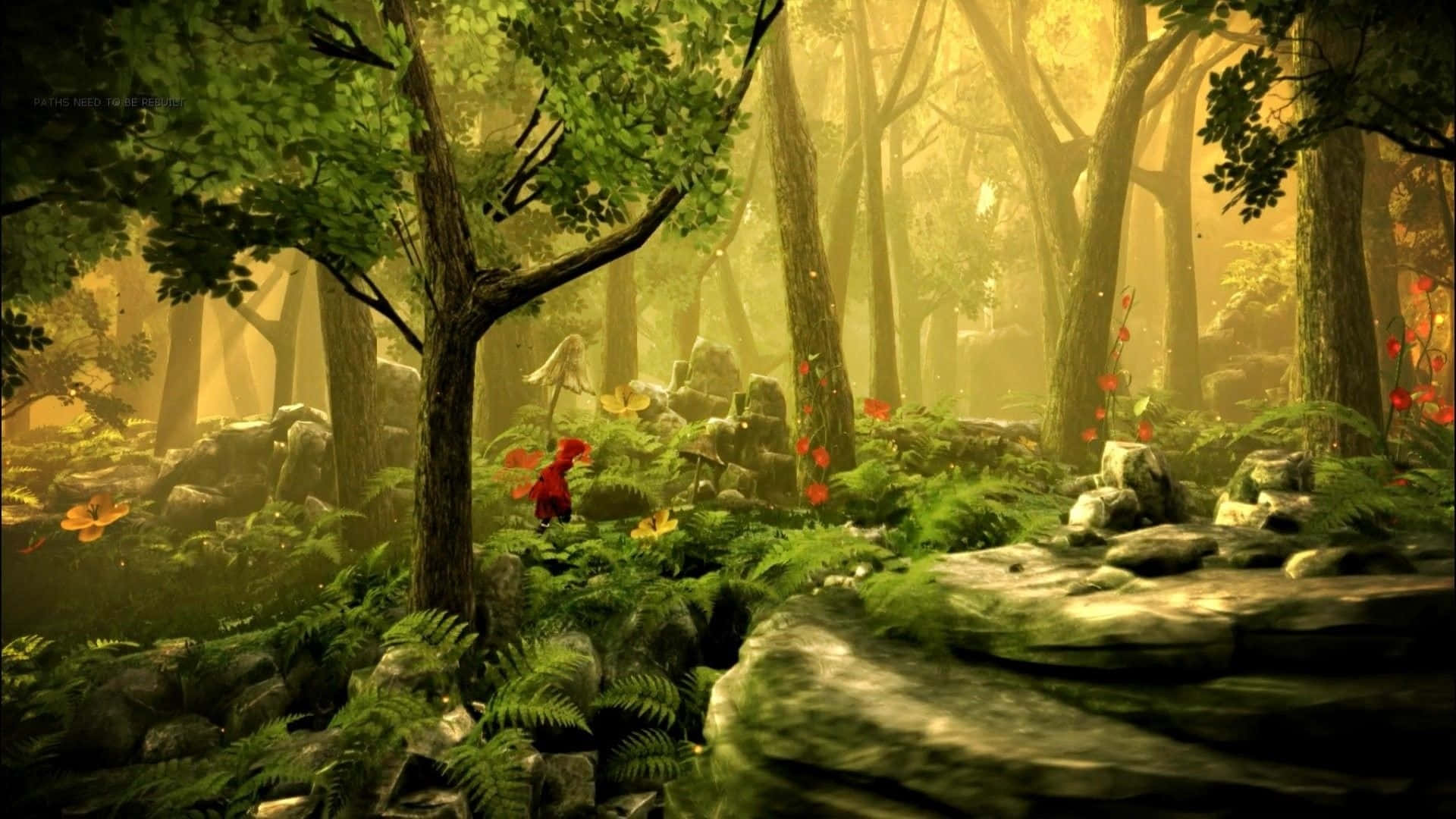 magical fairies forest