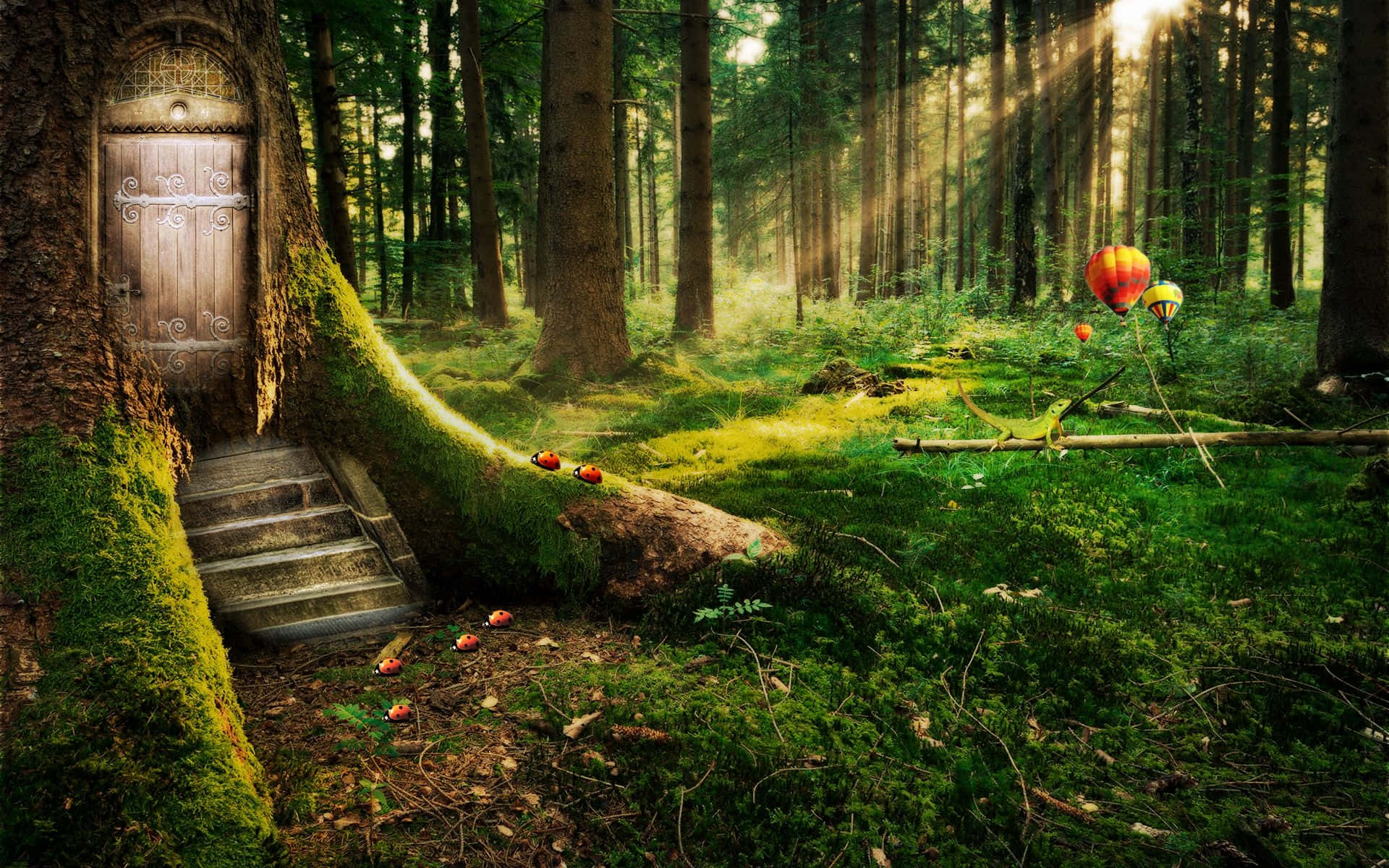 An enchanted Fairy Forest, deep in a magical forest. Wallpaper