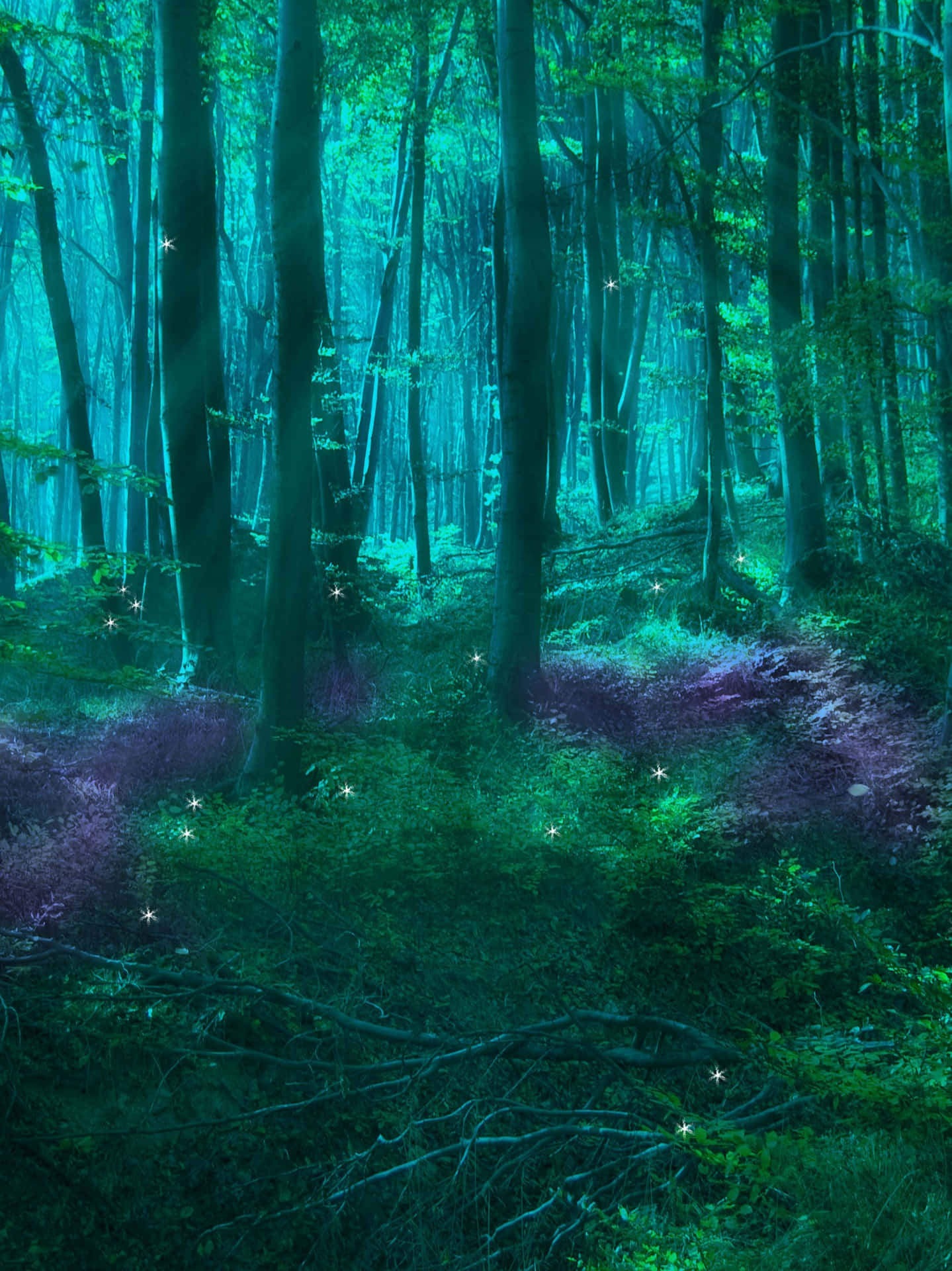 to Enjoy a Serene Adventure - Enter den magiske fe skov for at nyde en rolig oplevelse Wallpaper