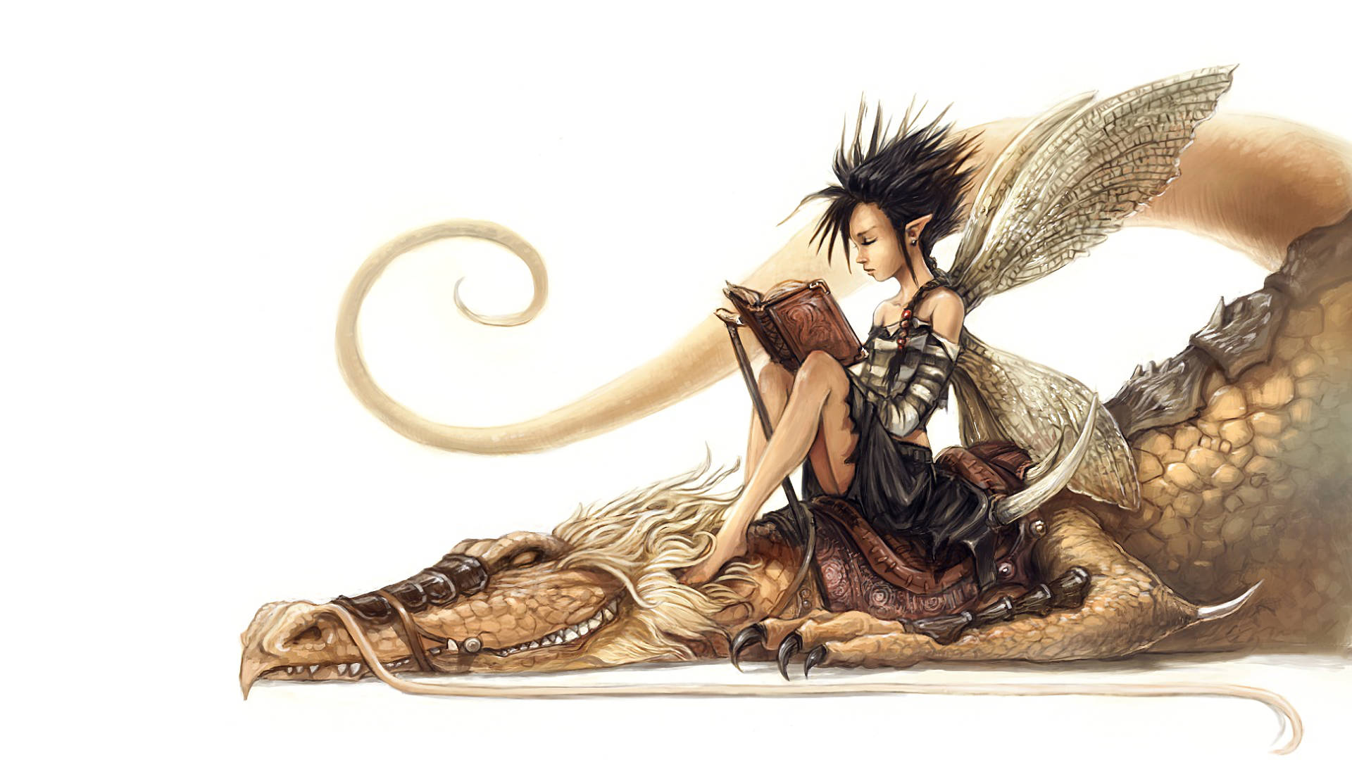 Fairy Grunge Dragon Fairy