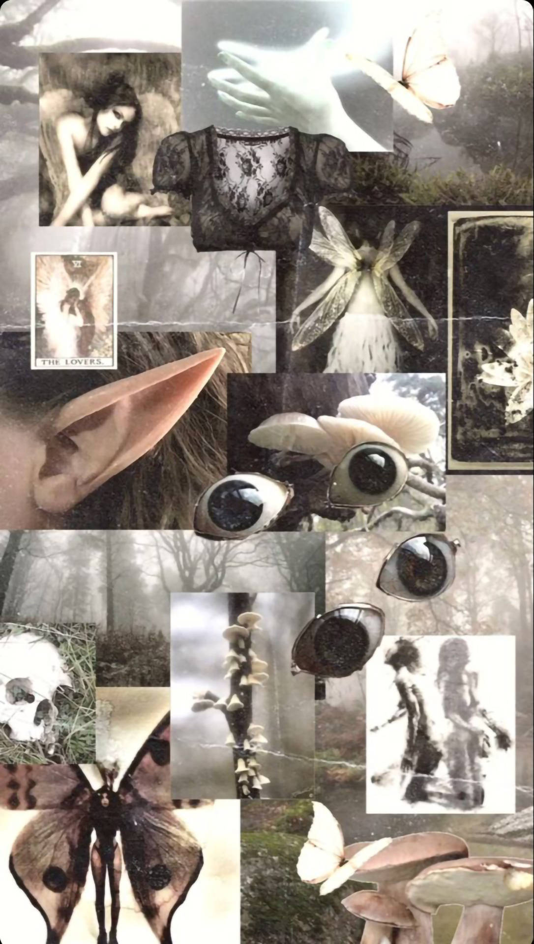 Fairy Grunge Light-themed Collage Wallpaper