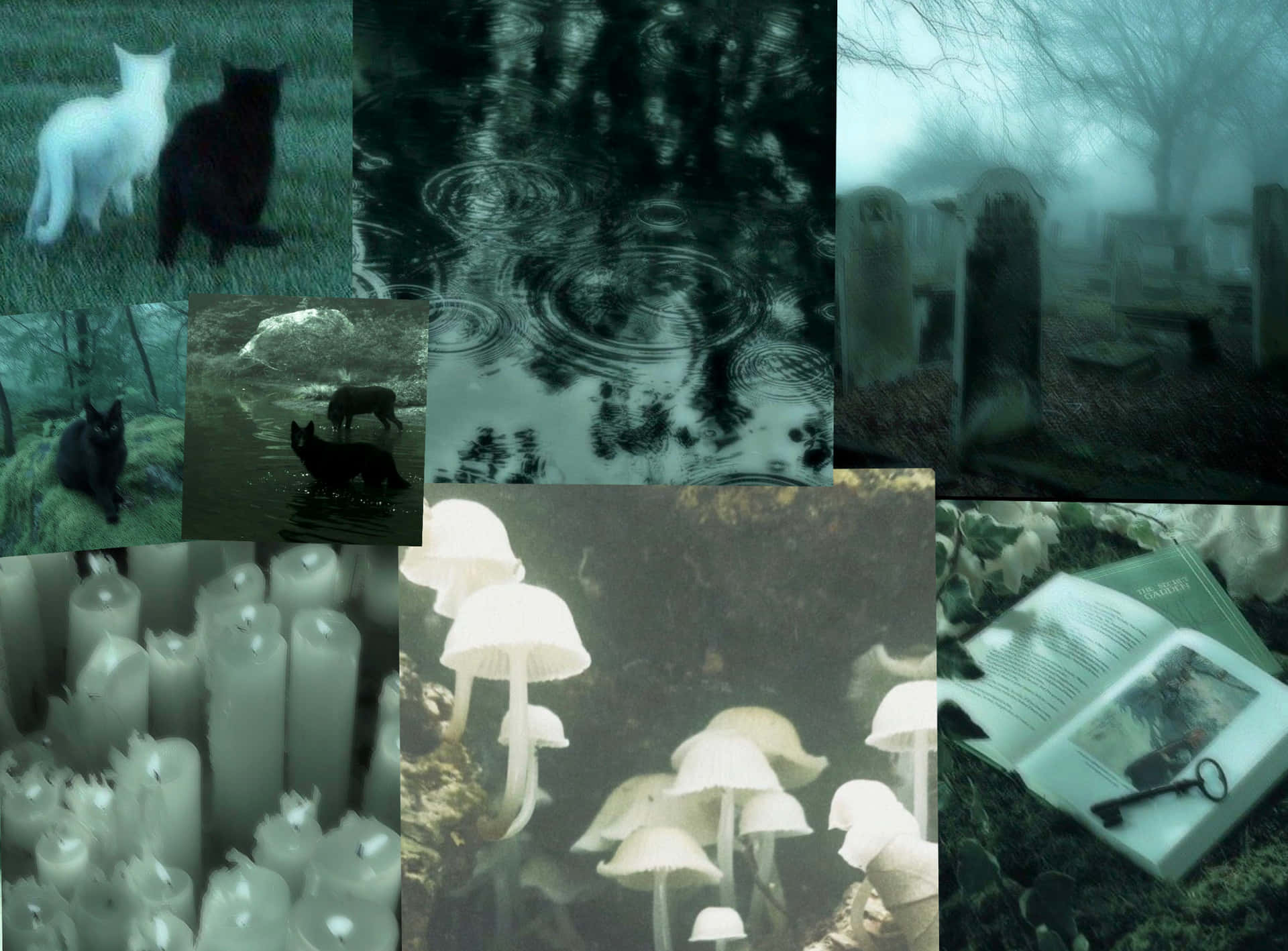 Fairy Grunge Mystical Collage Wallpaper