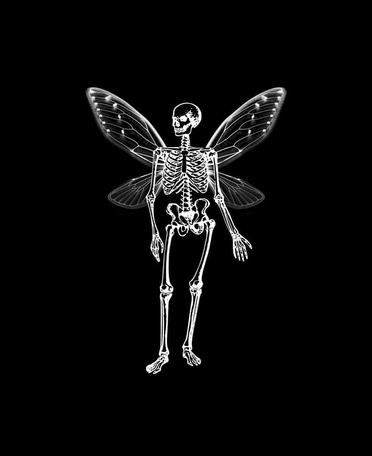 Fairy Grunge Skeleton Wings Wallpaper