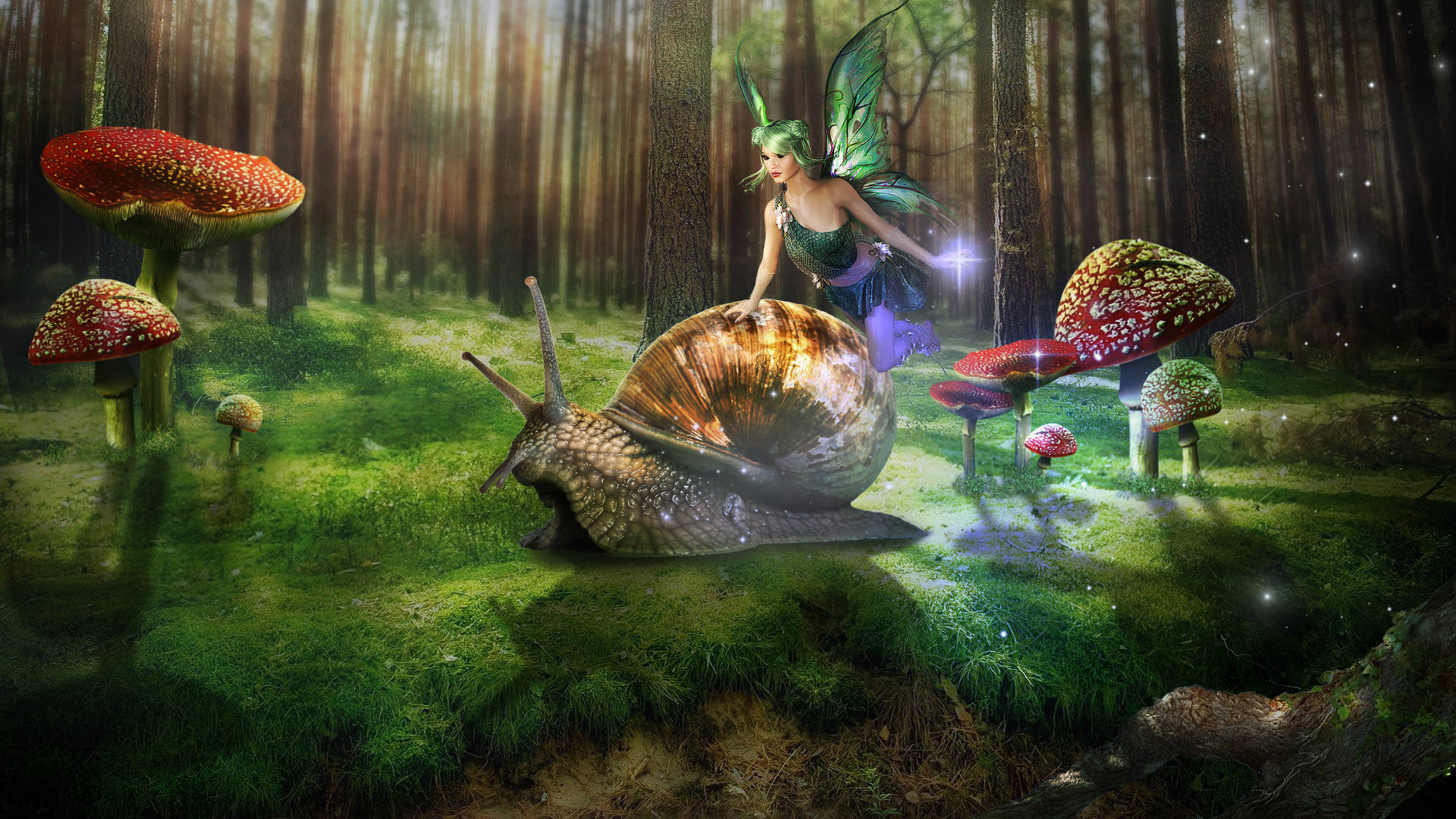 Fairy Grunge Snail Friend Wallpaper