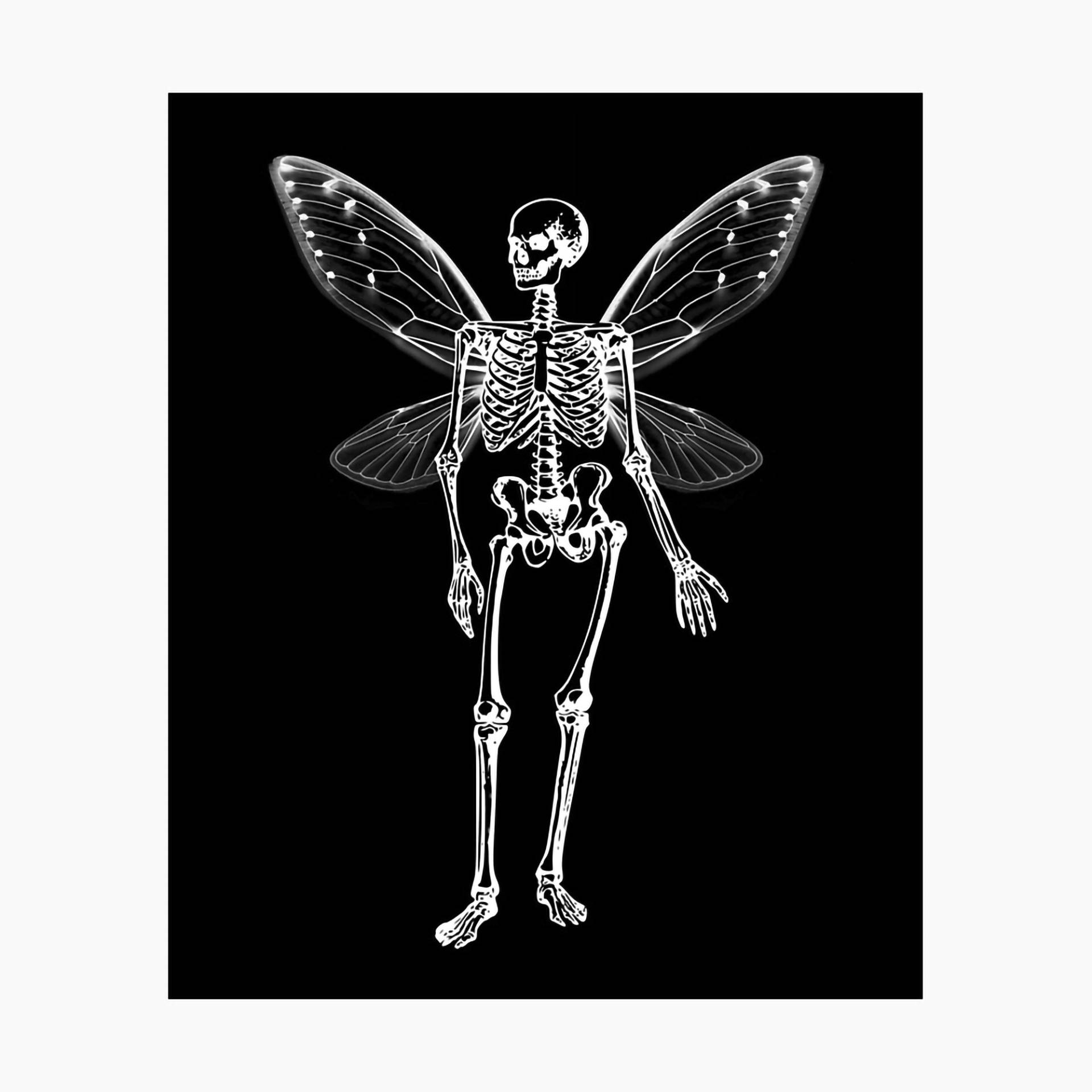 Fairy Grunge Wings For Skeleton Wallpaper