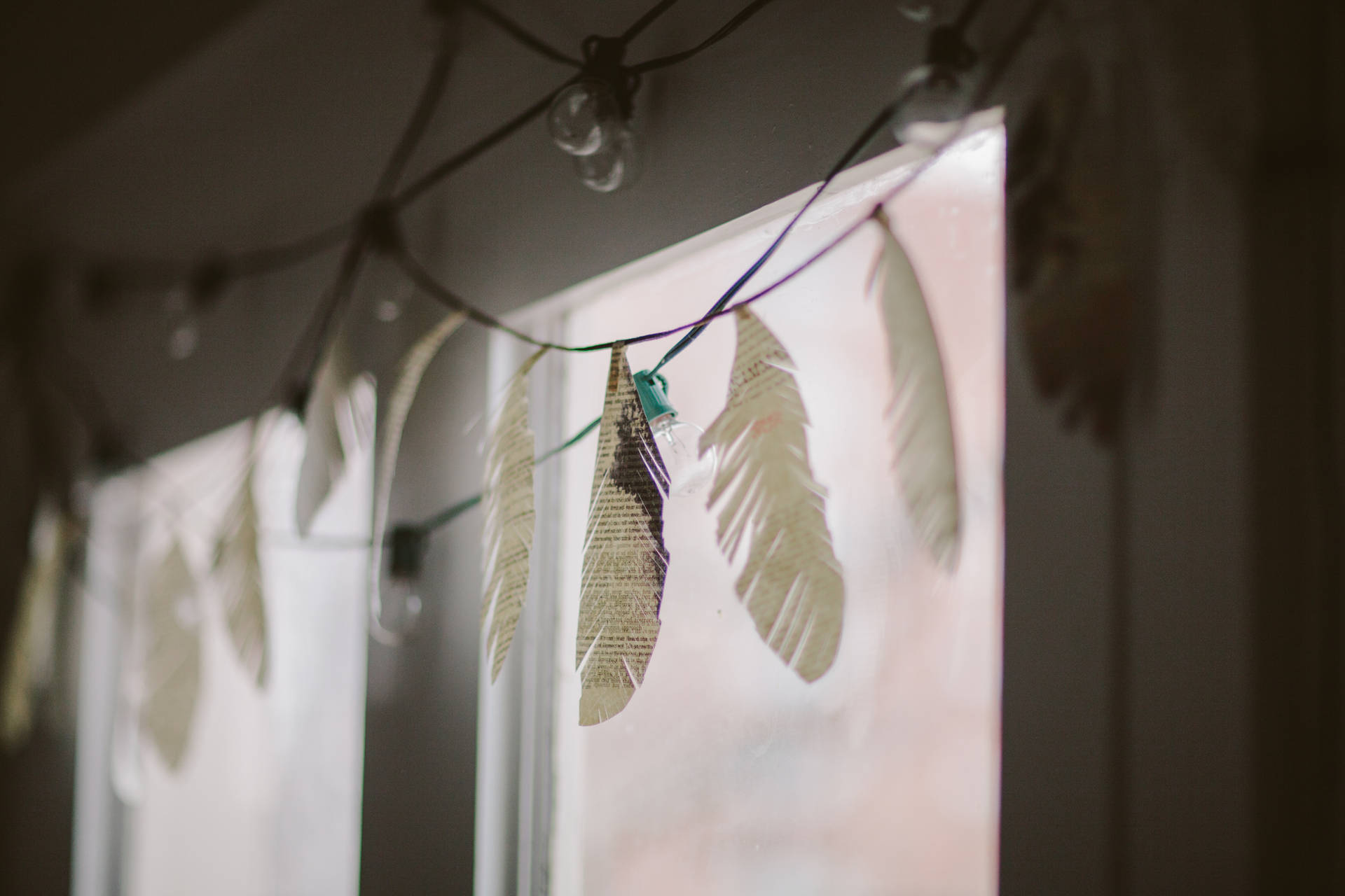 Fairy Lights And Feathers Pinterest Laptop Wallpaper
