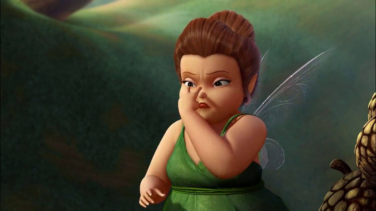 Fairy Mary On Watch Tinker Bell Wallpaper