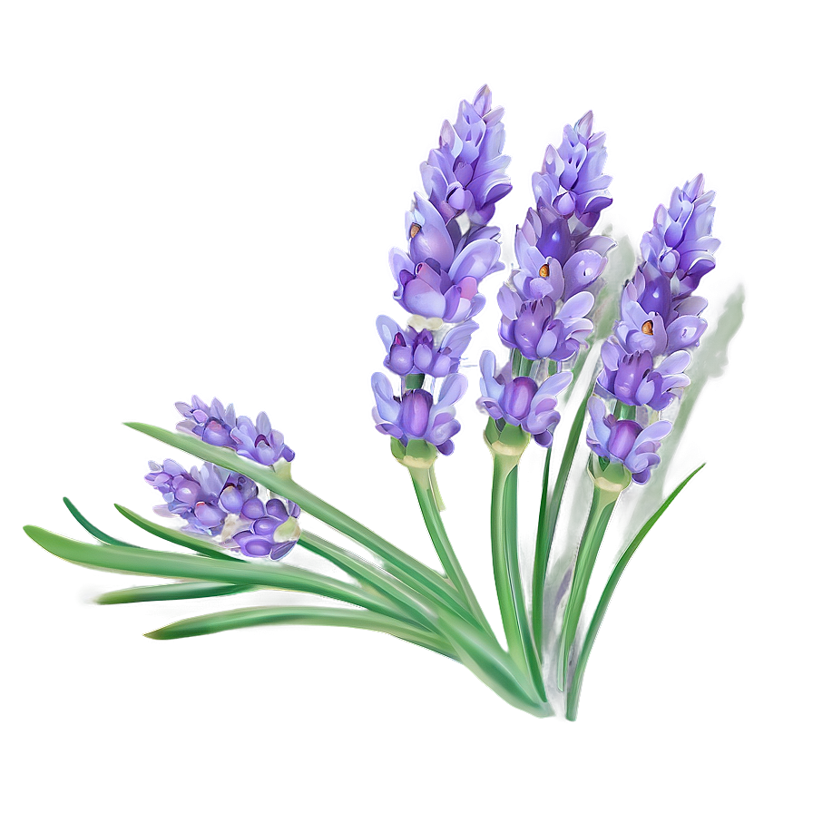 Fairy Tale Lavender Png 3 PNG