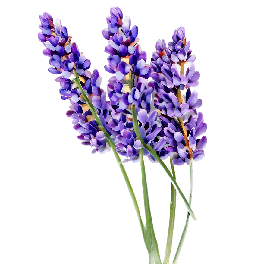 Fairy Tale Lavender Png Xhr PNG