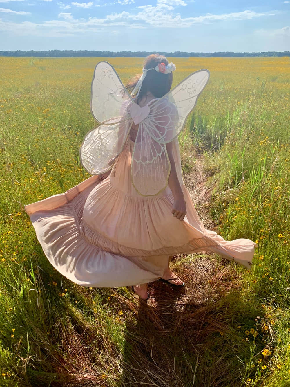 Field Photoshoot Fairycore Background