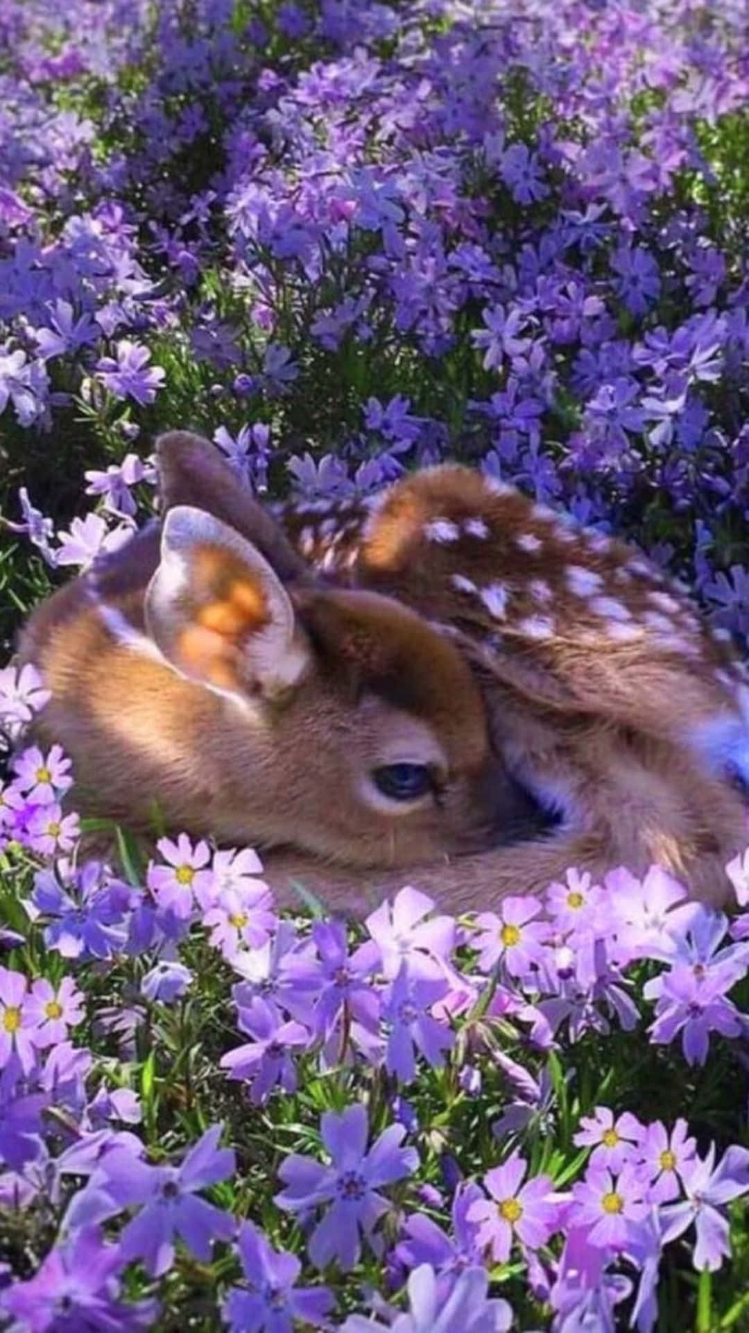 Purple Flowers And Deer Fairycore Background