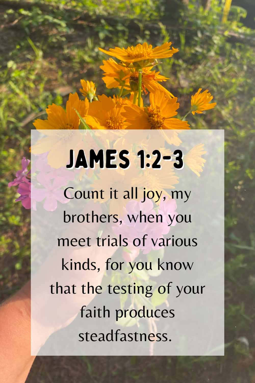 Faith Testing Bible Verse James123 Wallpaper