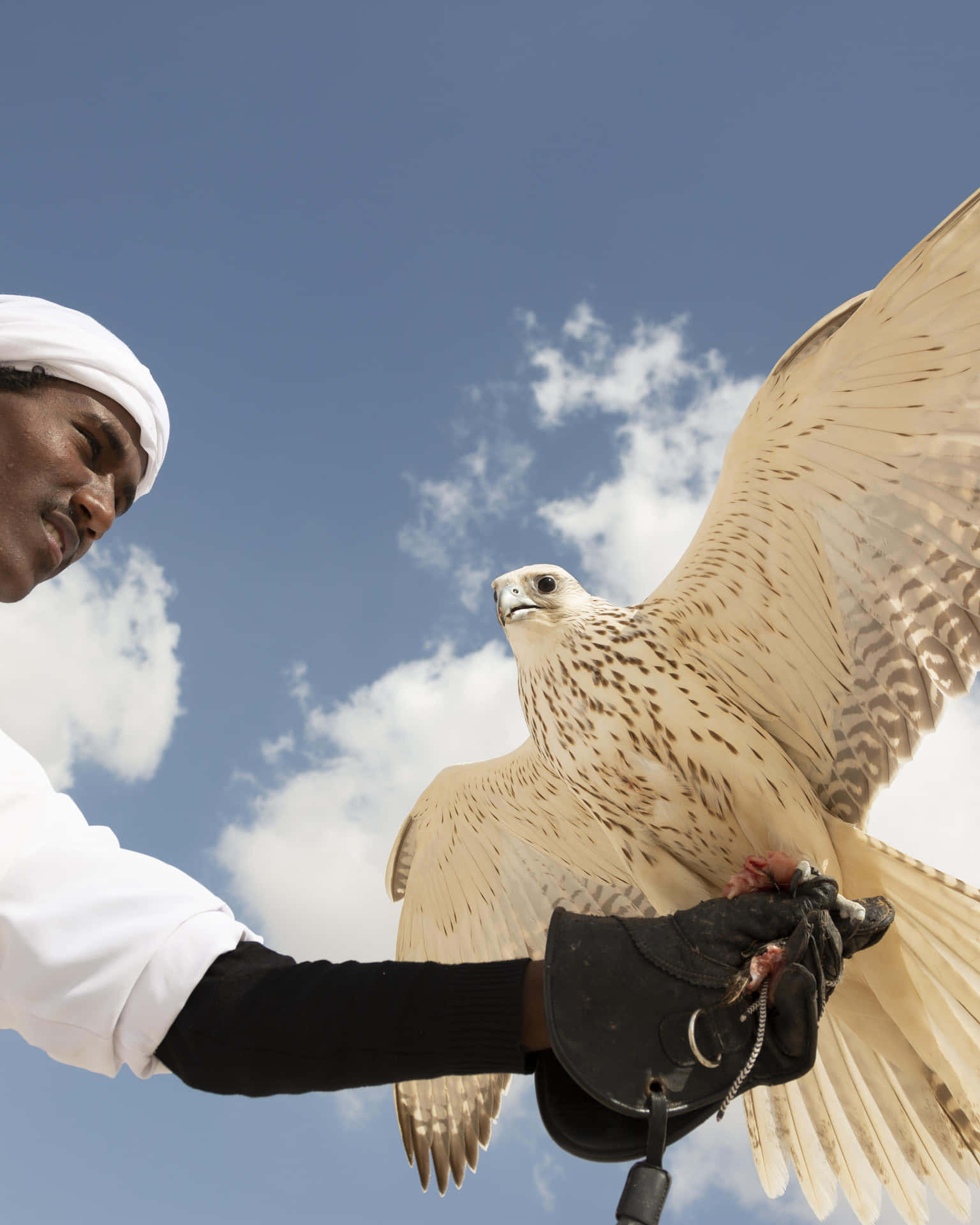 A Superhero Enhances His Signature Look With The Iconic Falcon Costume