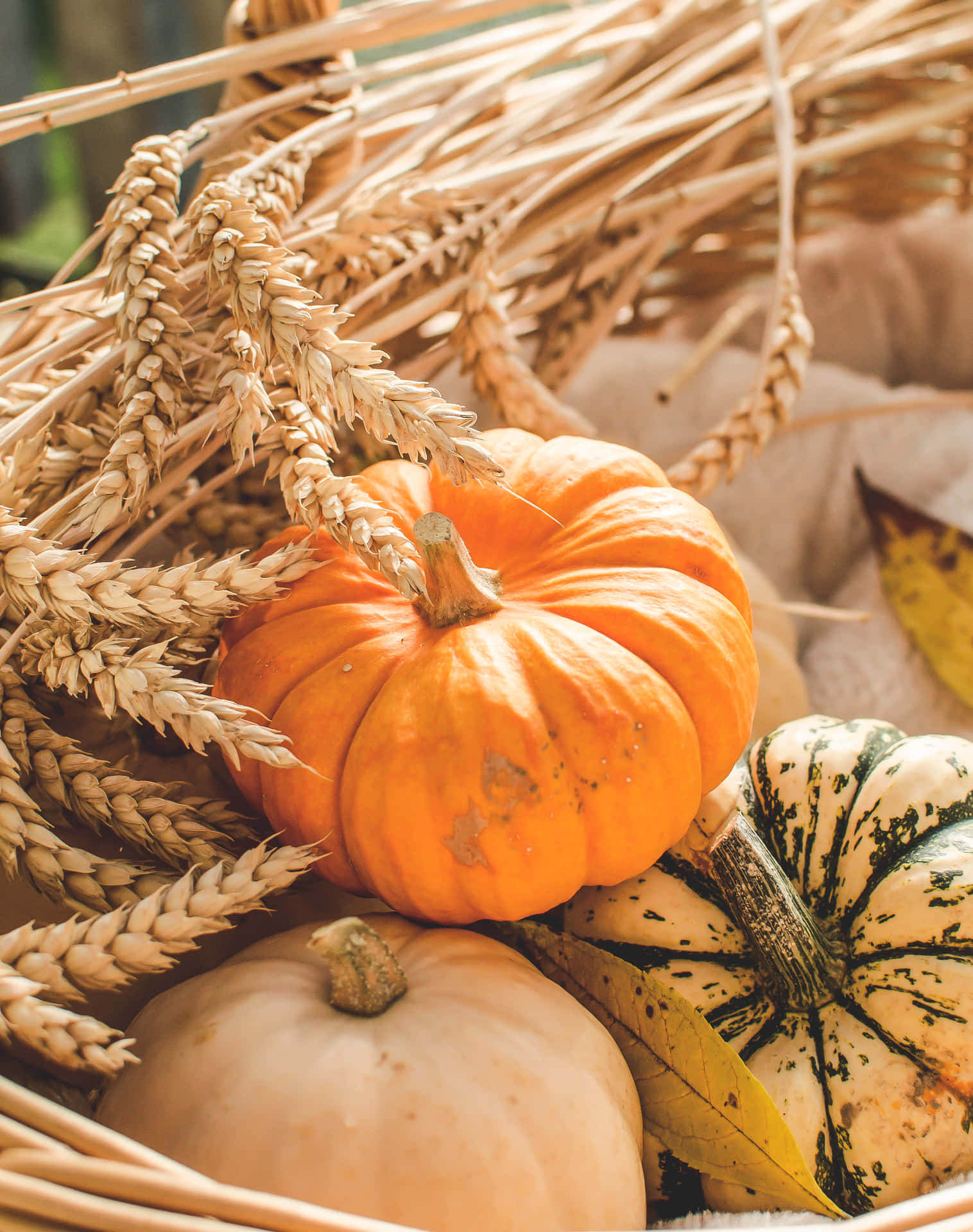 A Basket Filled With Pumpkins And Wheat