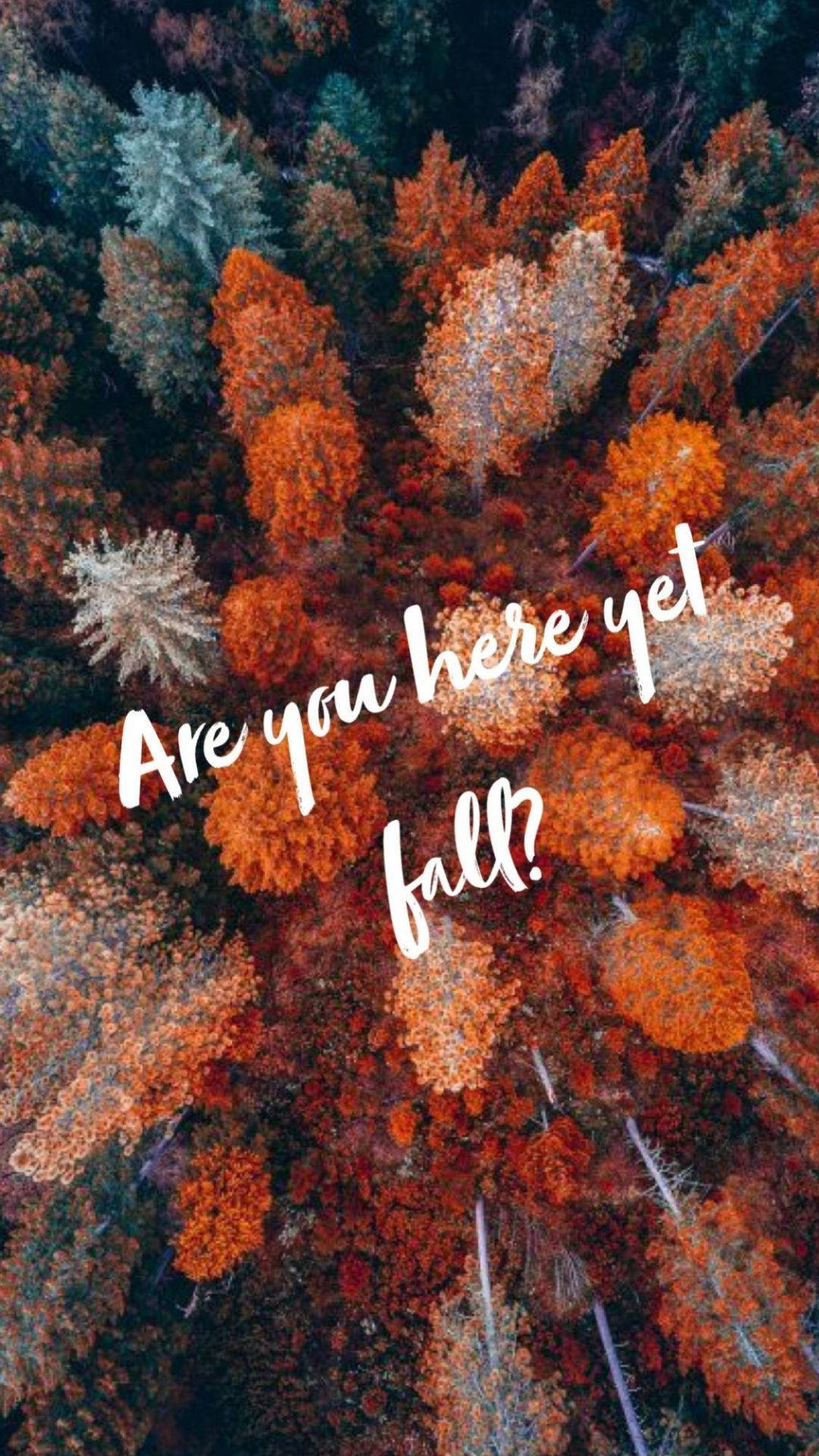 Fall Aesthetic iPhone Are You Here Wallpaper