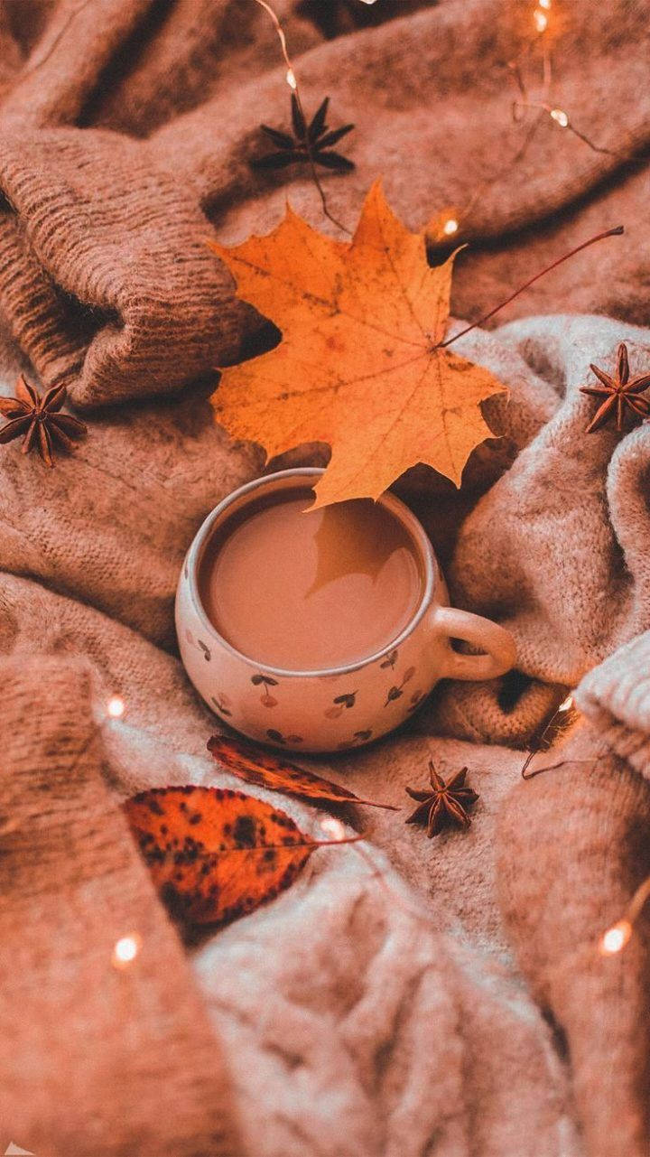 Fall Aesthetic Iphone Leaf And Drink Wallpaper