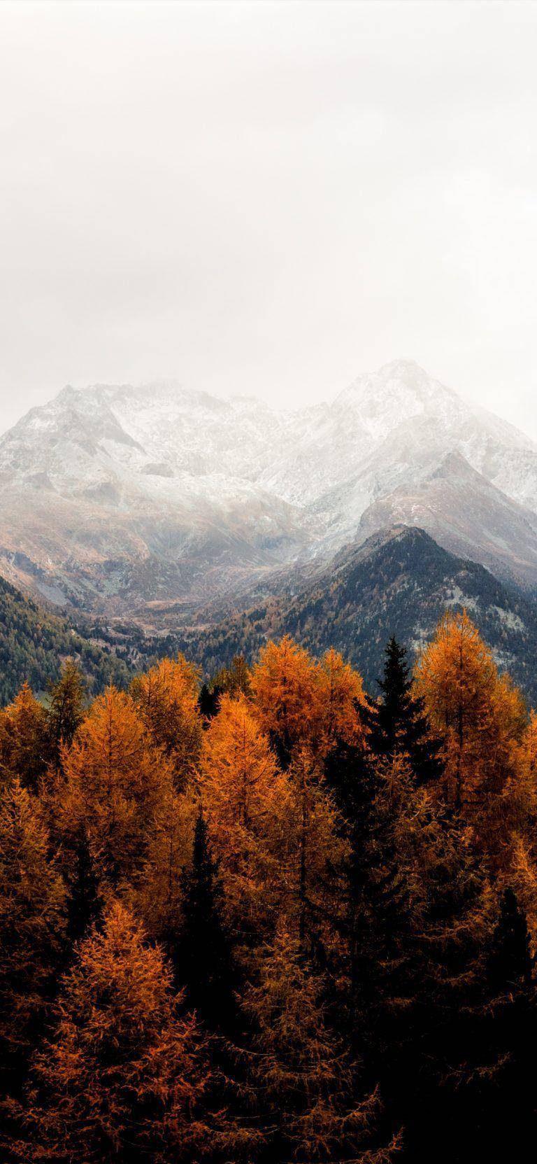 Herbstästhetikiphone Rote Bäume Schneebedeckte Berge Wallpaper